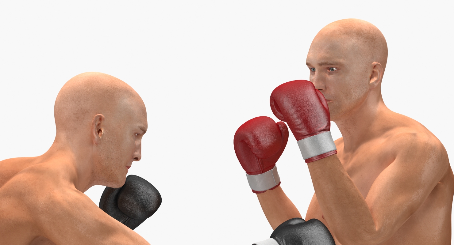 3D model Two Boxers