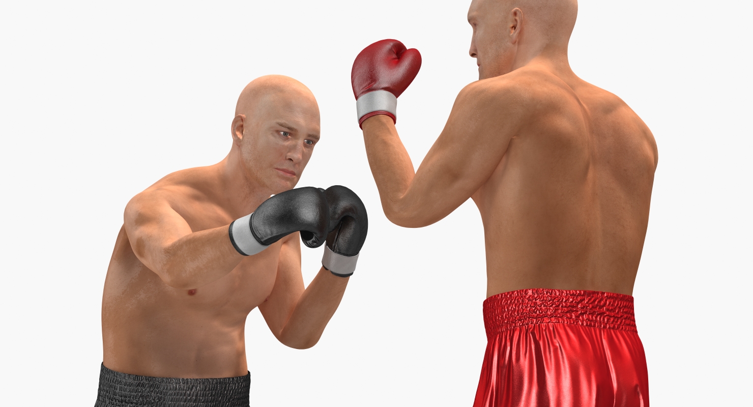 3D model Two Boxers