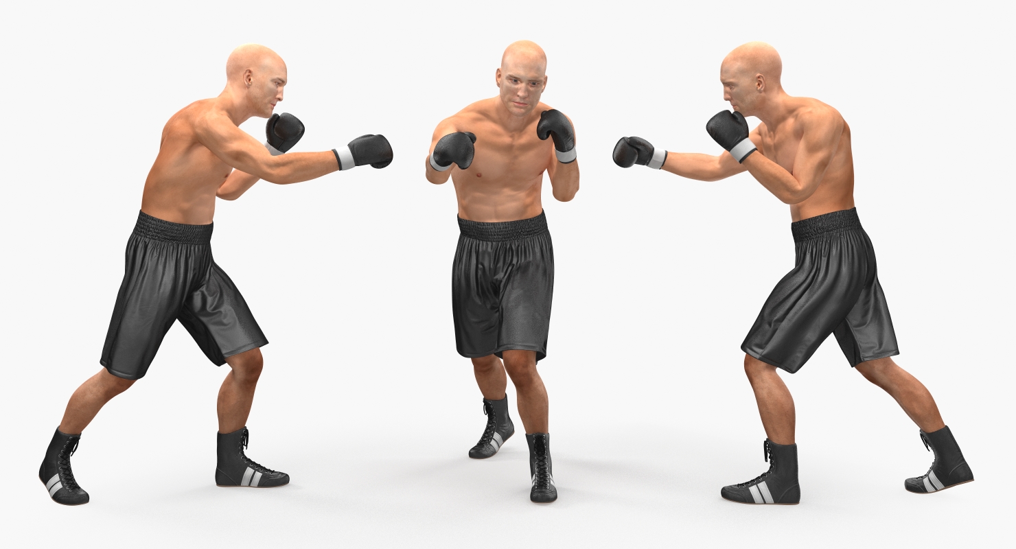 3D model Two Boxers