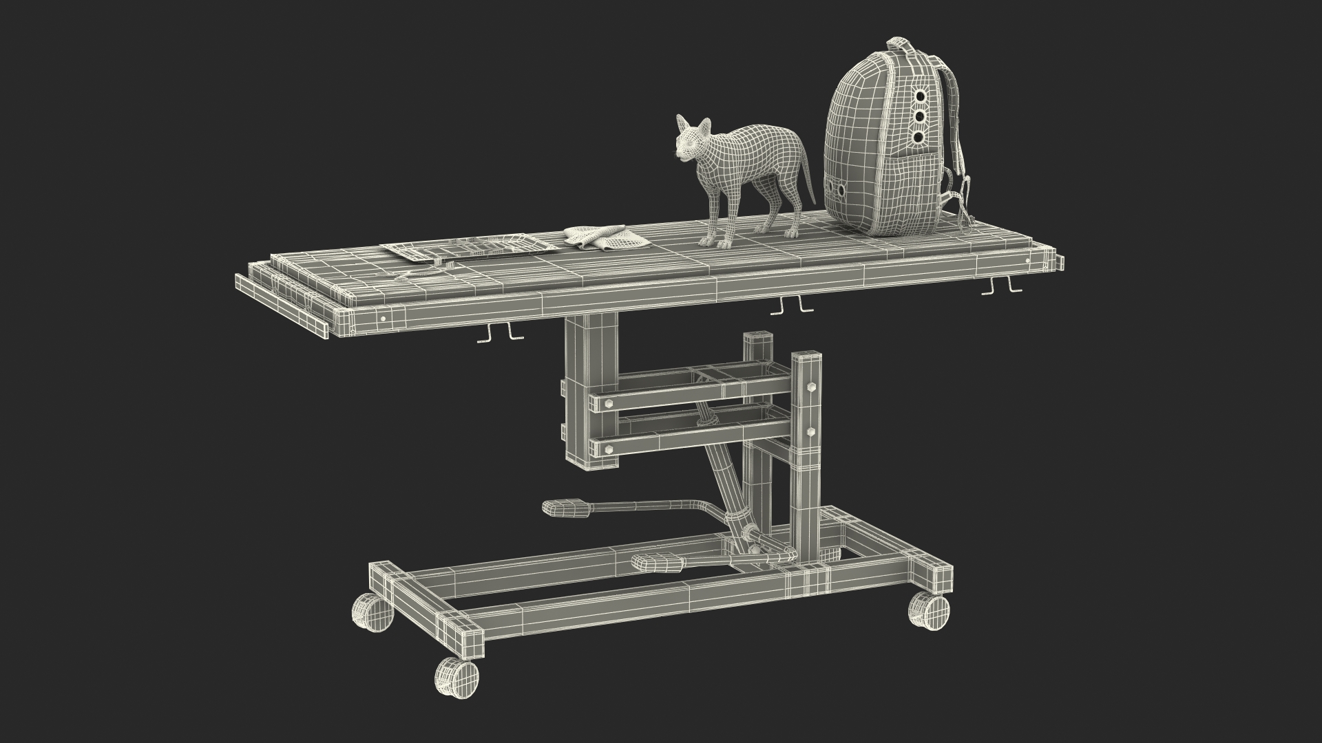 Veterinary Examination 3D