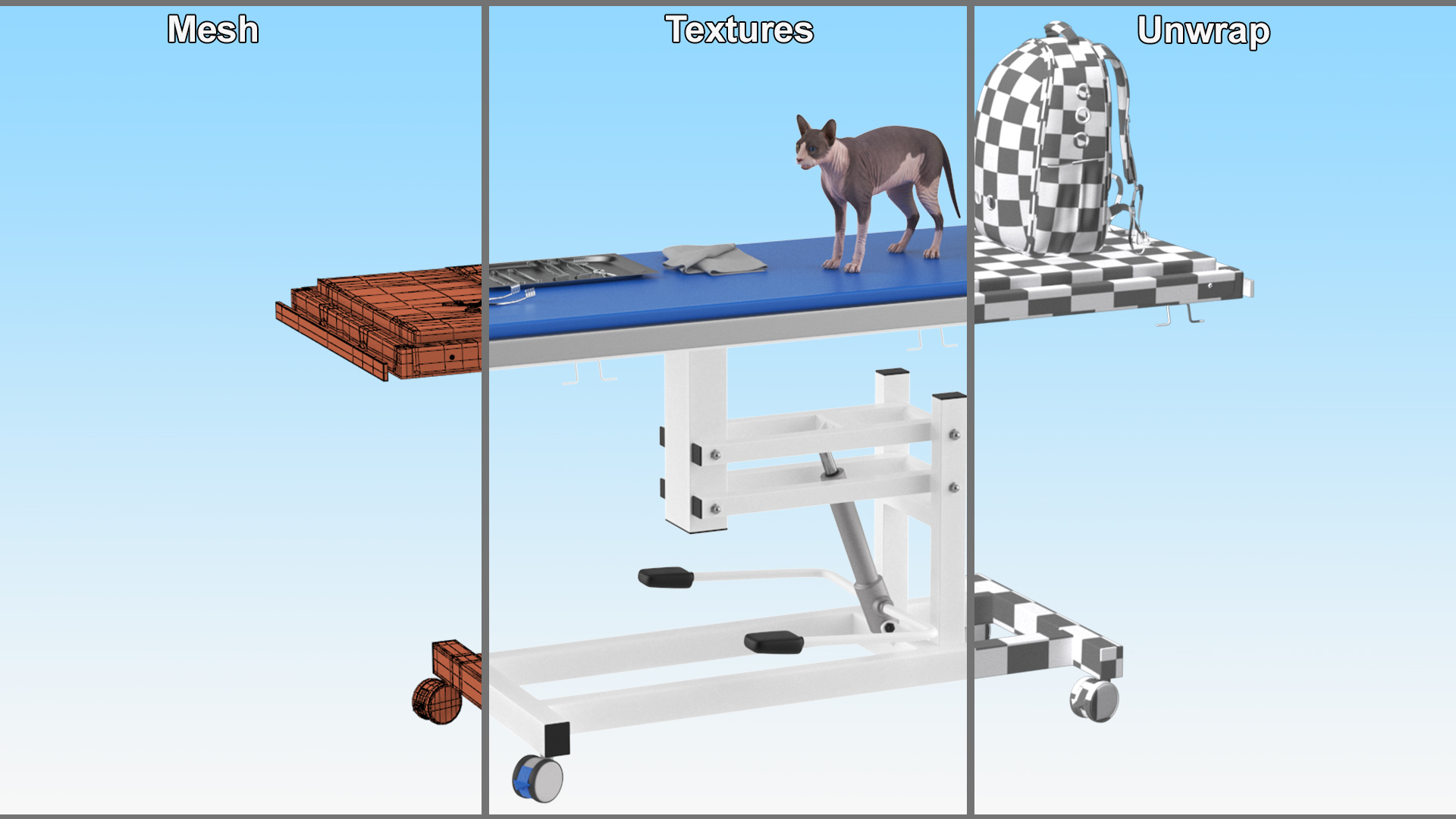 Veterinary Examination 3D