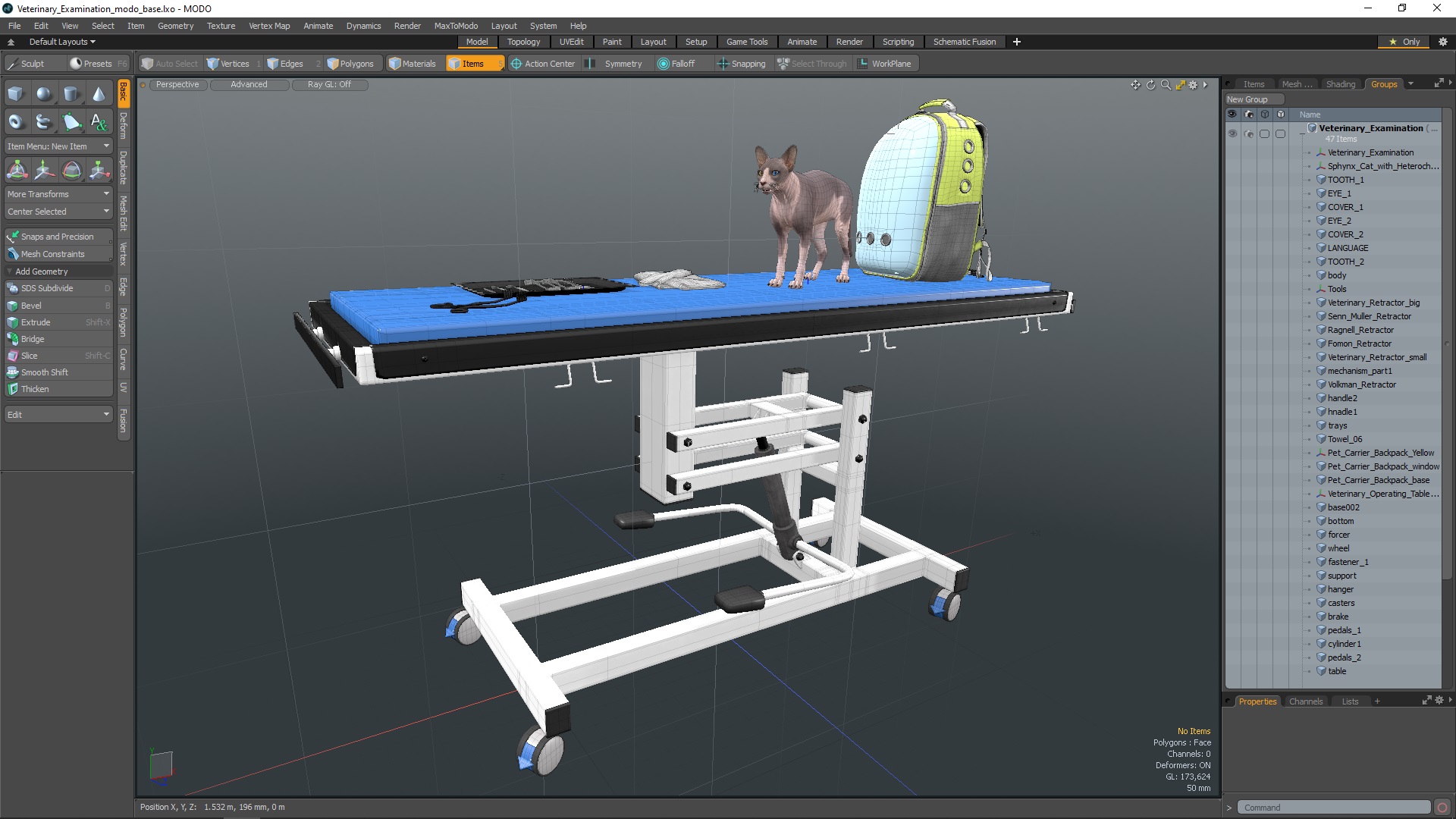 Veterinary Examination 3D