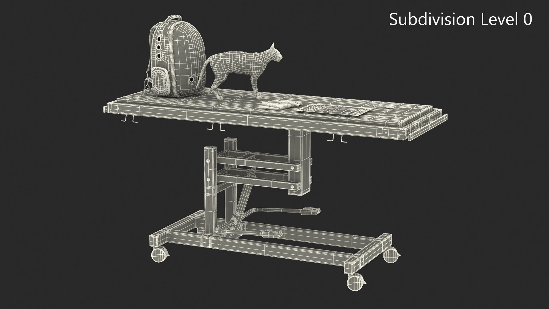 Veterinary Examination 3D