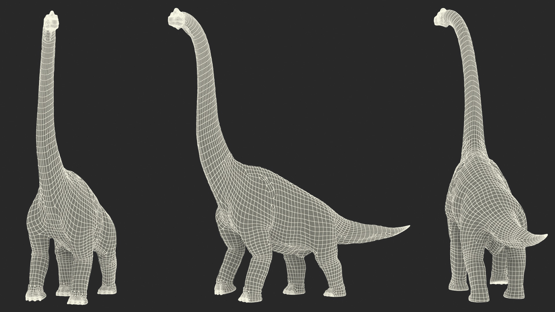 3D Brachiosaurus Walking Pose