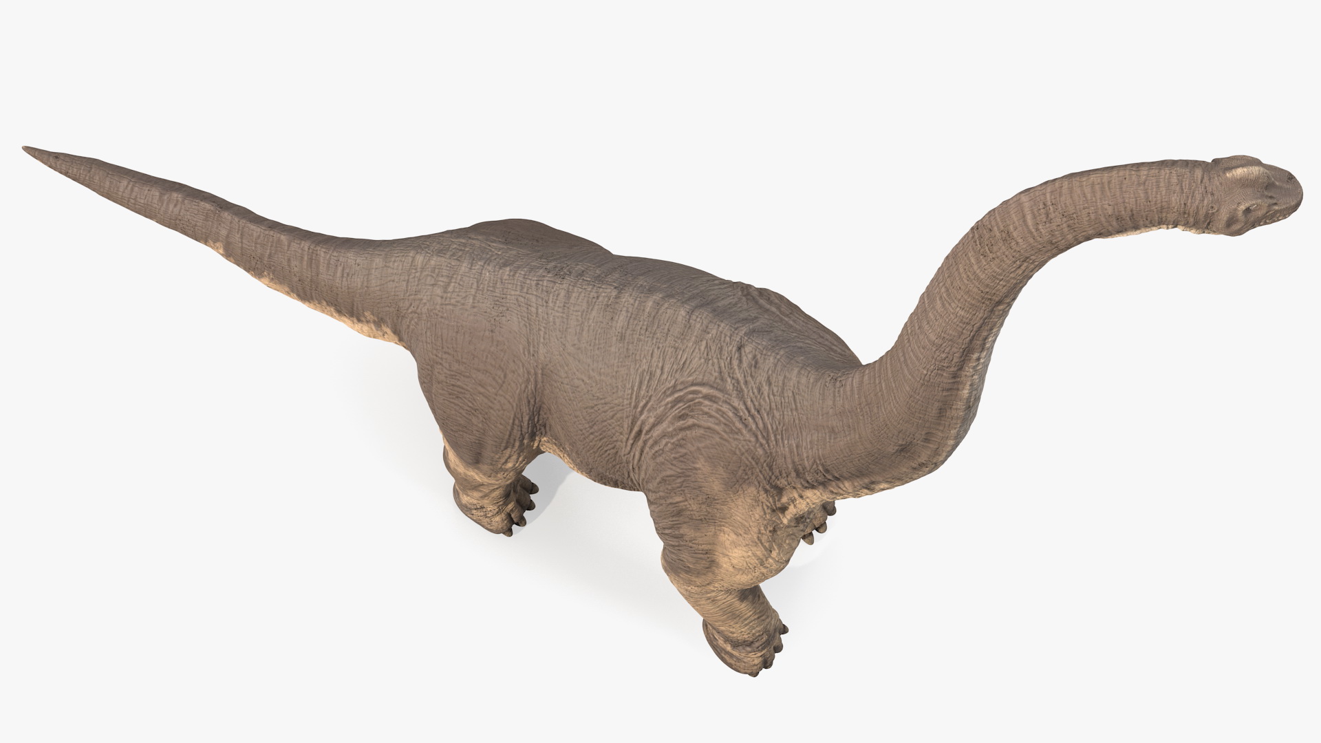 3D Brachiosaurus Walking Pose