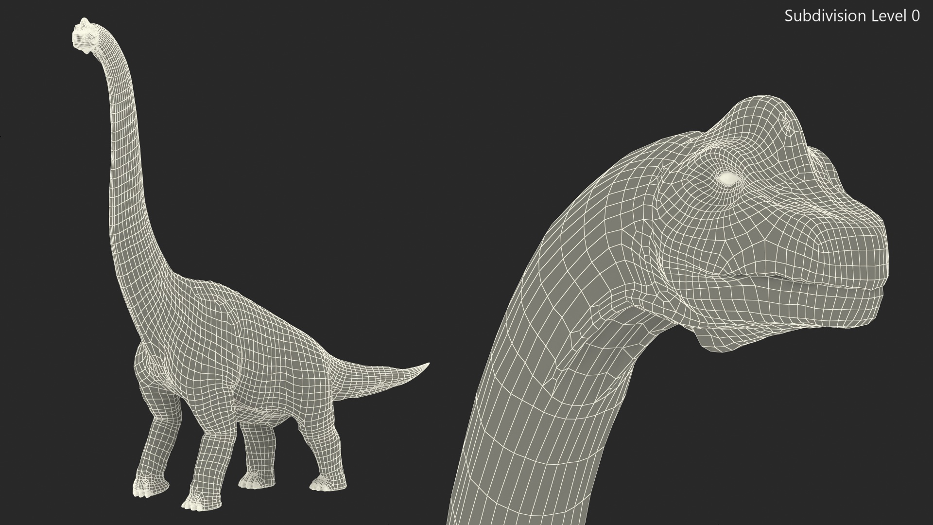 3D Brachiosaurus Walking Pose