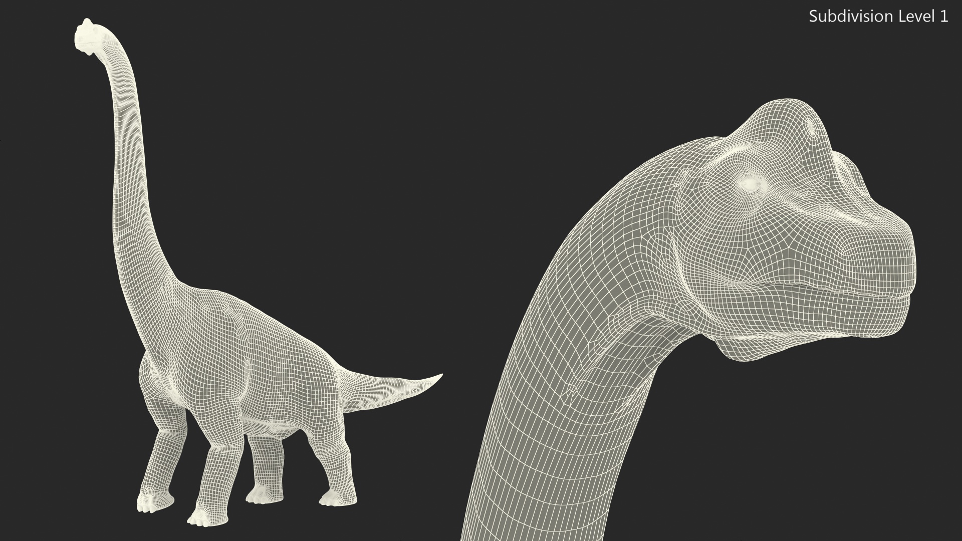 3D Brachiosaurus Walking Pose