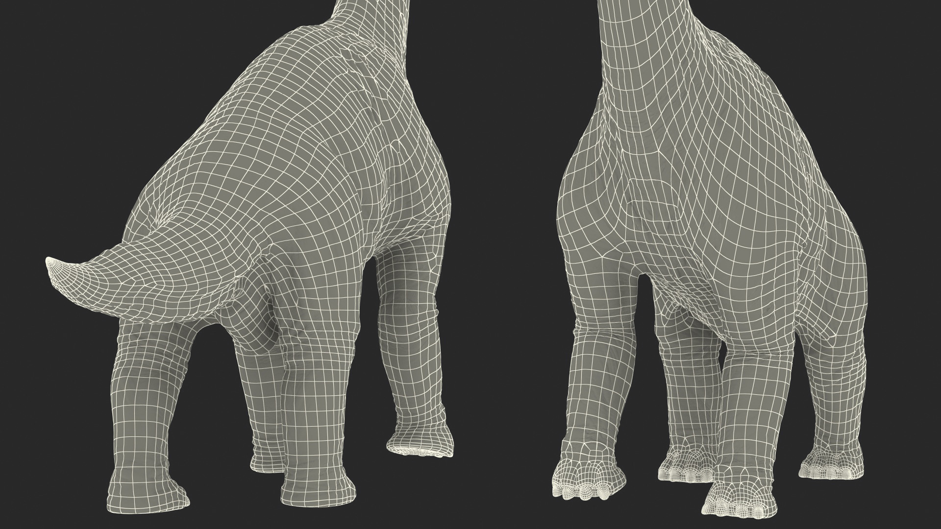 3D Brachiosaurus Walking Pose