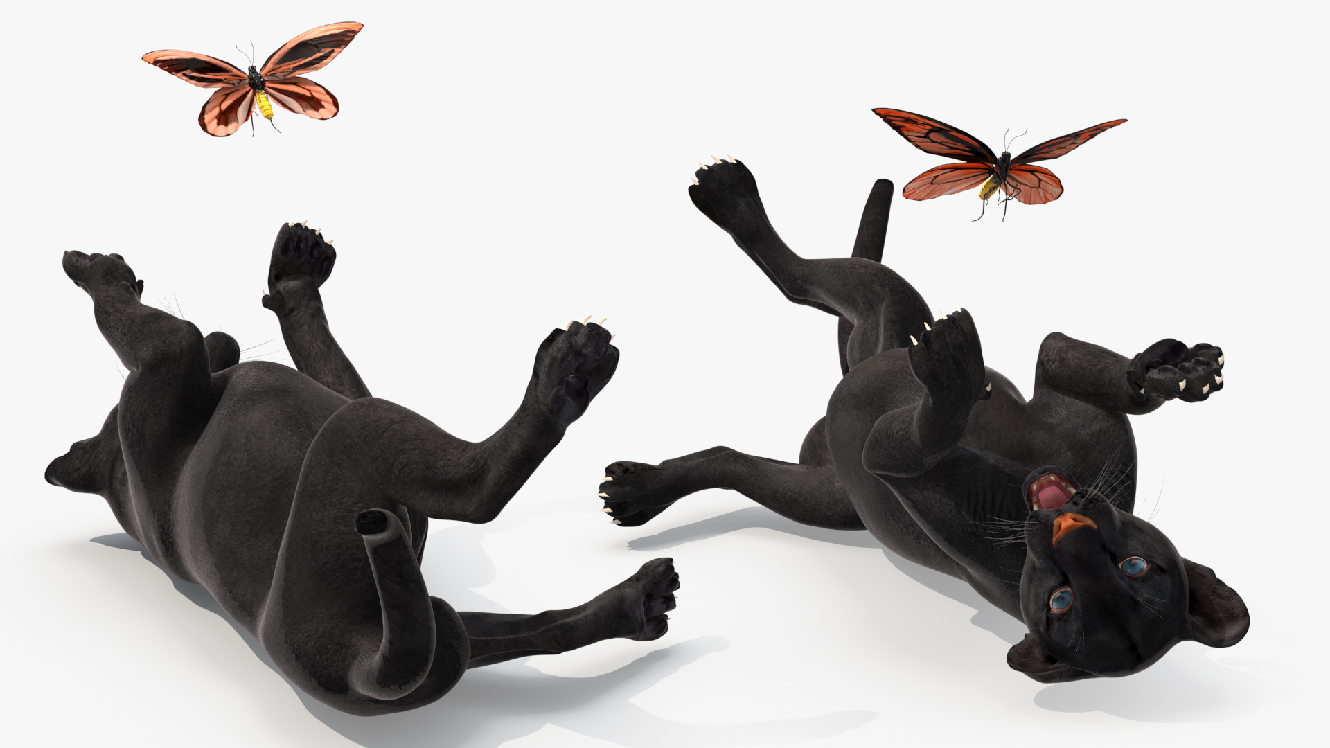 3D model Playful Black Panther Cub with Butterfly