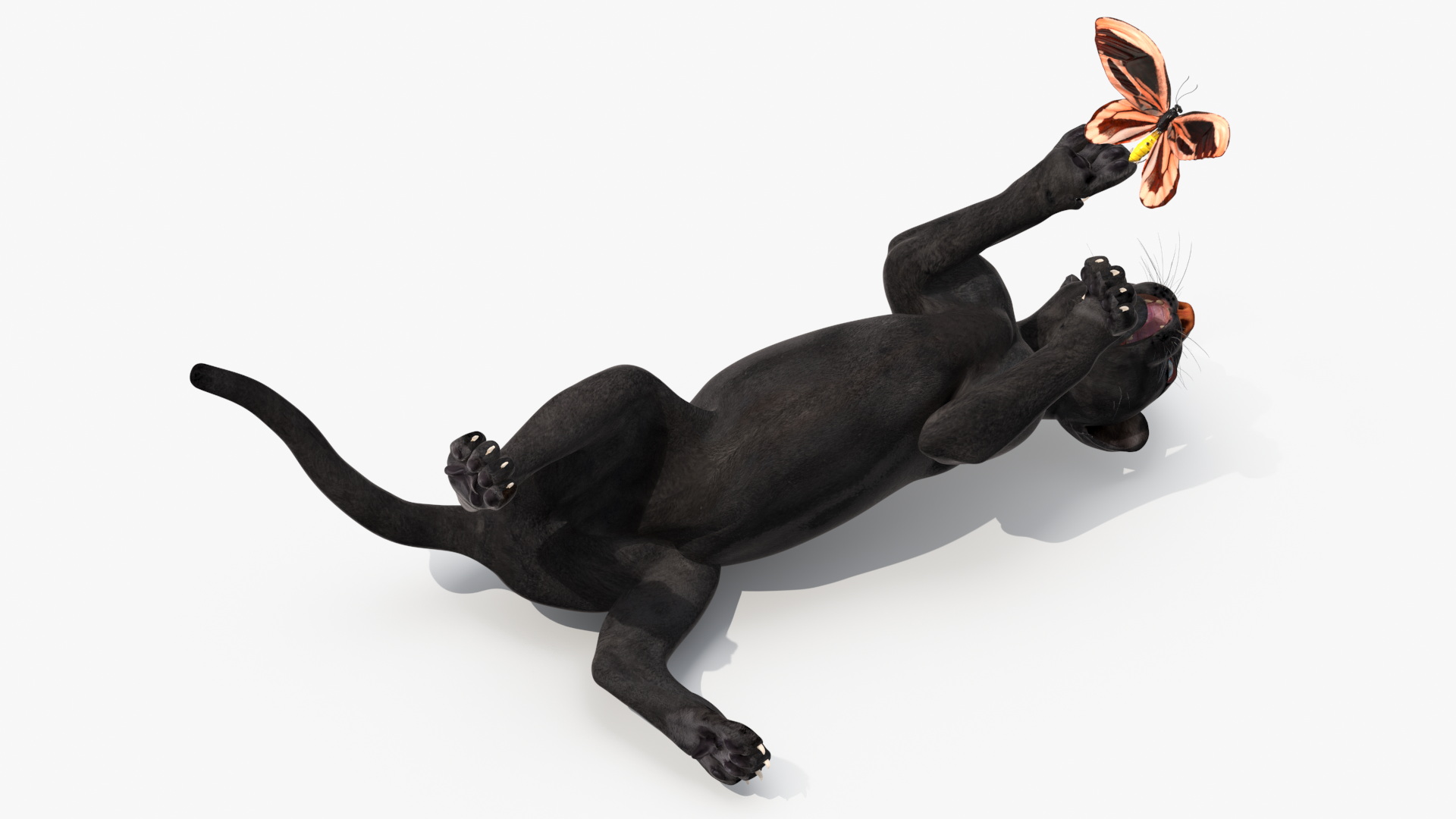 3D model Playful Black Panther Cub with Butterfly