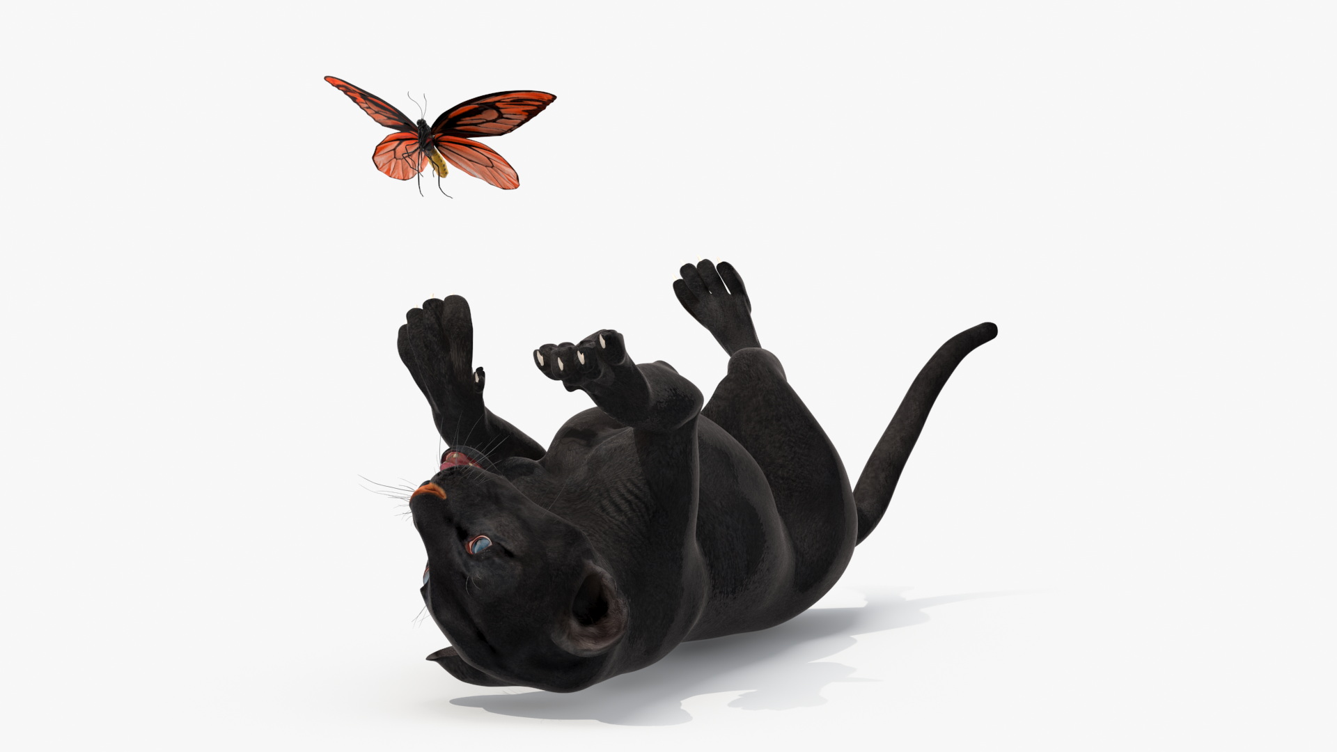 3D model Playful Black Panther Cub with Butterfly