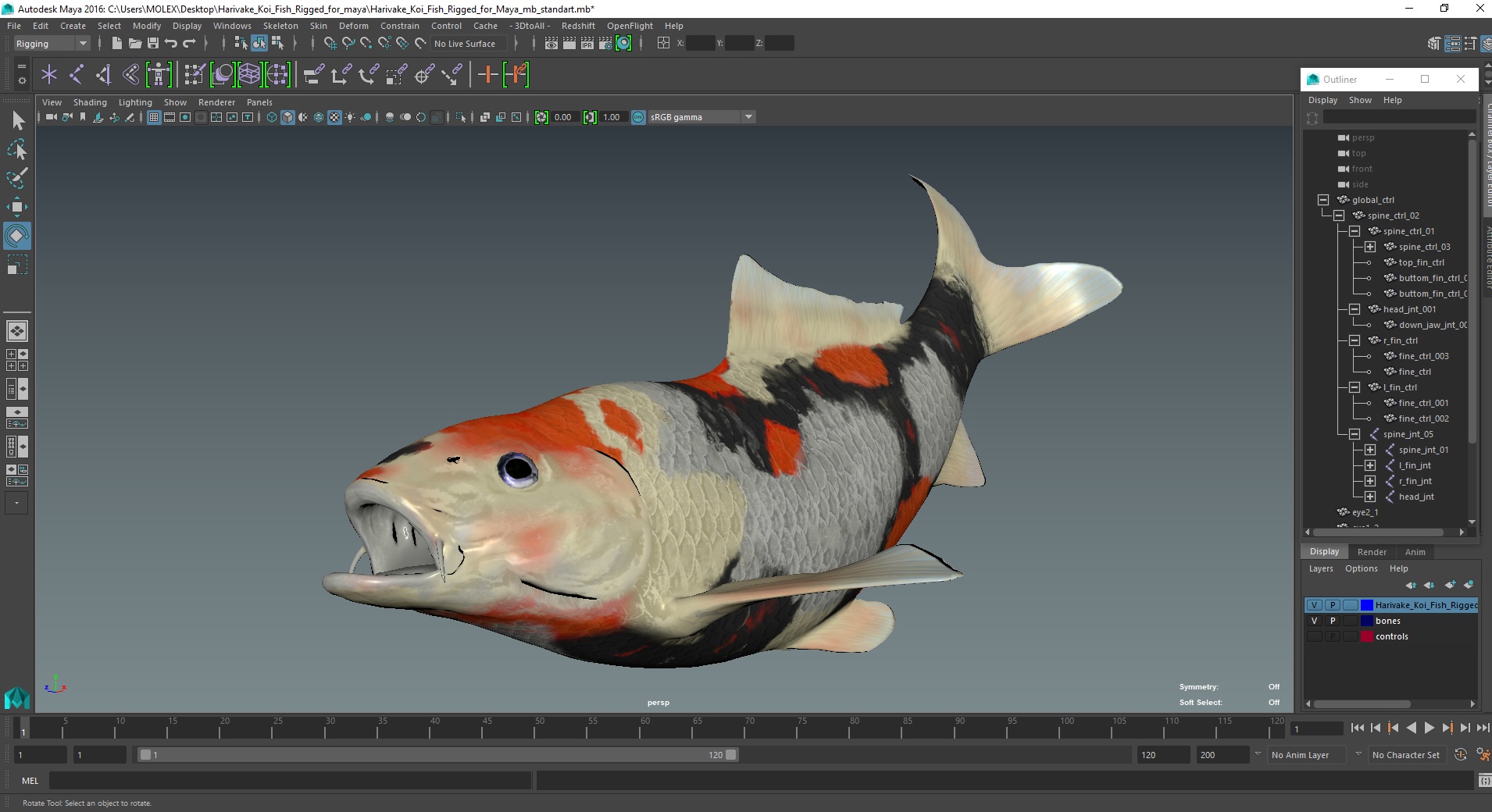 3D Harivake Koi Fish Rigged for Maya model