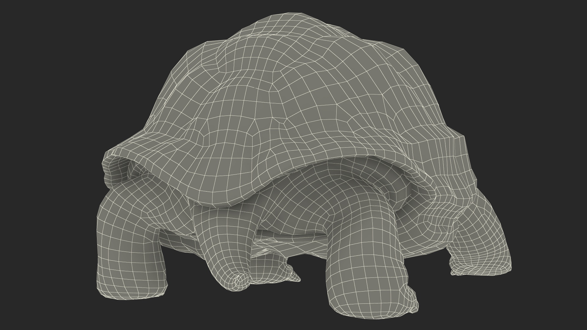 3D model Giant Black Tortoise Walk Pose