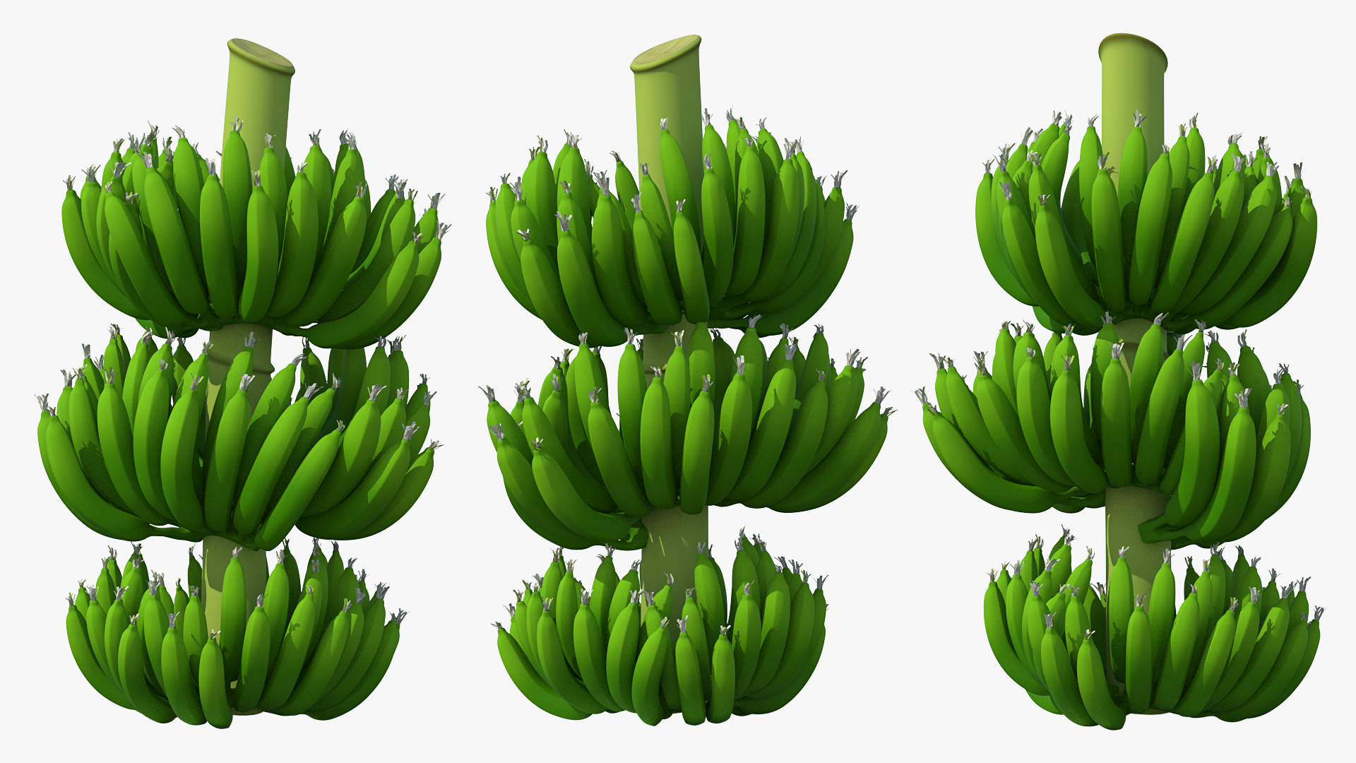 3D model Green Banana Cluster