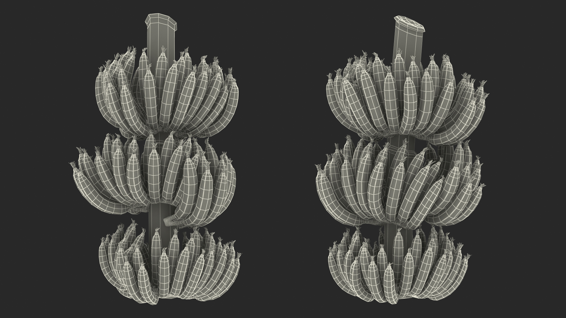 3D model Green Banana Cluster