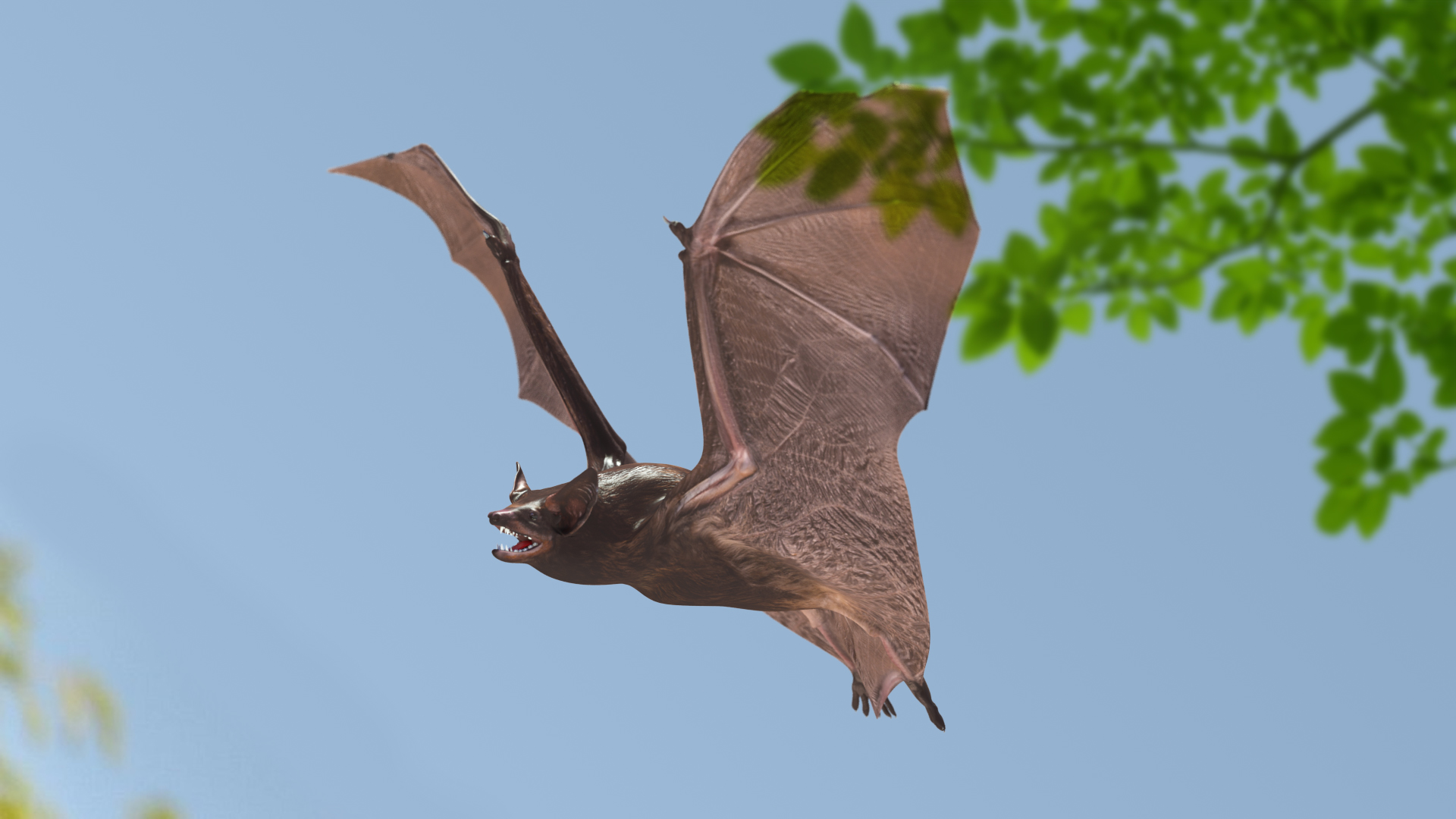 3D Flying Black Bat