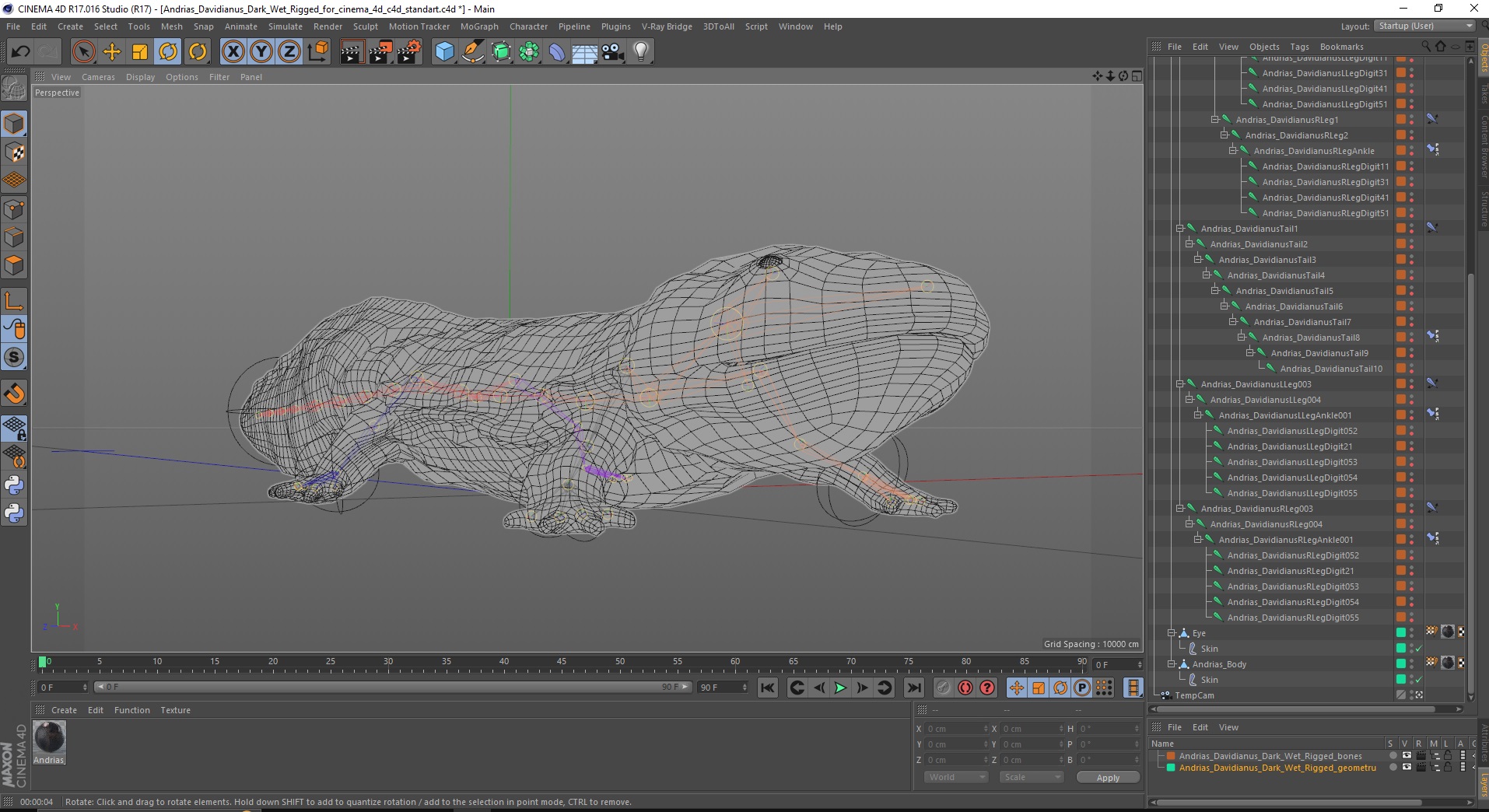 3D Andrias Davidianus Dark Wet Rigged for Cinema 4D model
