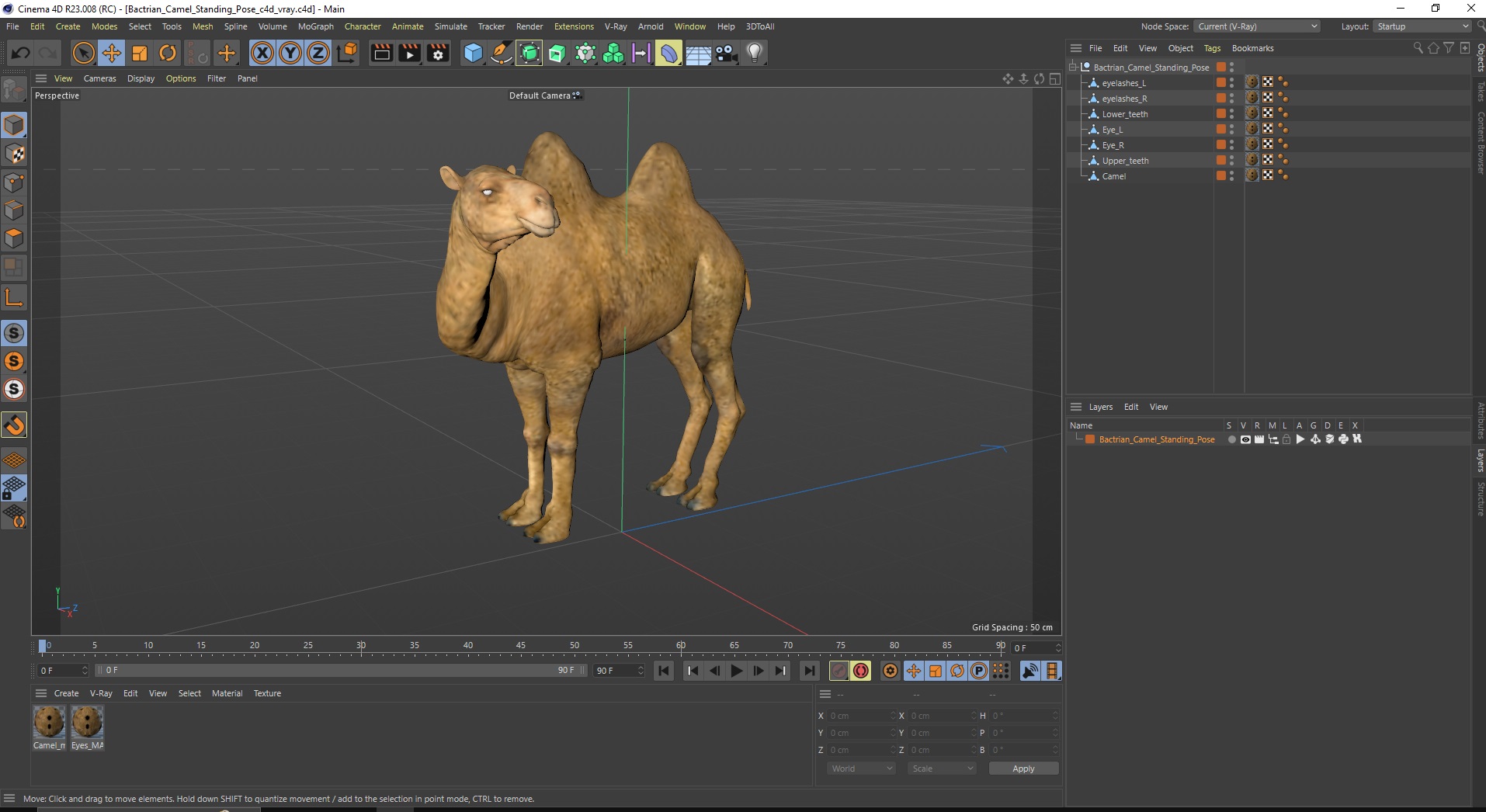 3D Bactrian Camel Standing Pose model