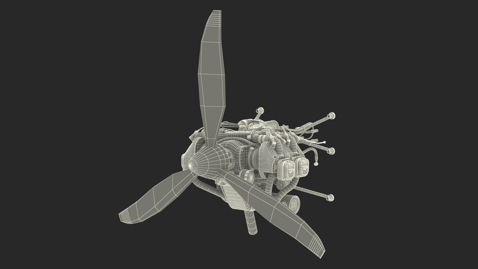 3D model Aircraft Engine with Propeller