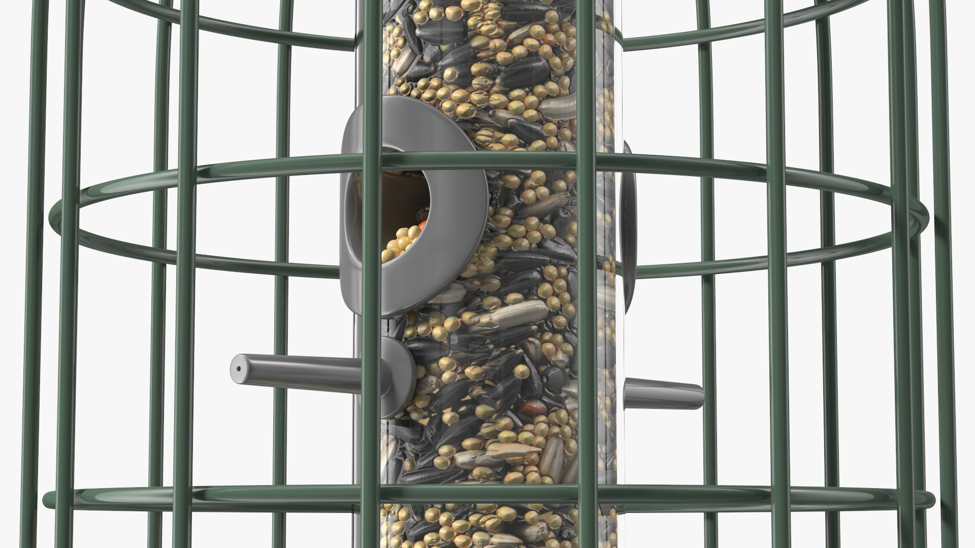 3D Caged Bird Feeder with Seeds model