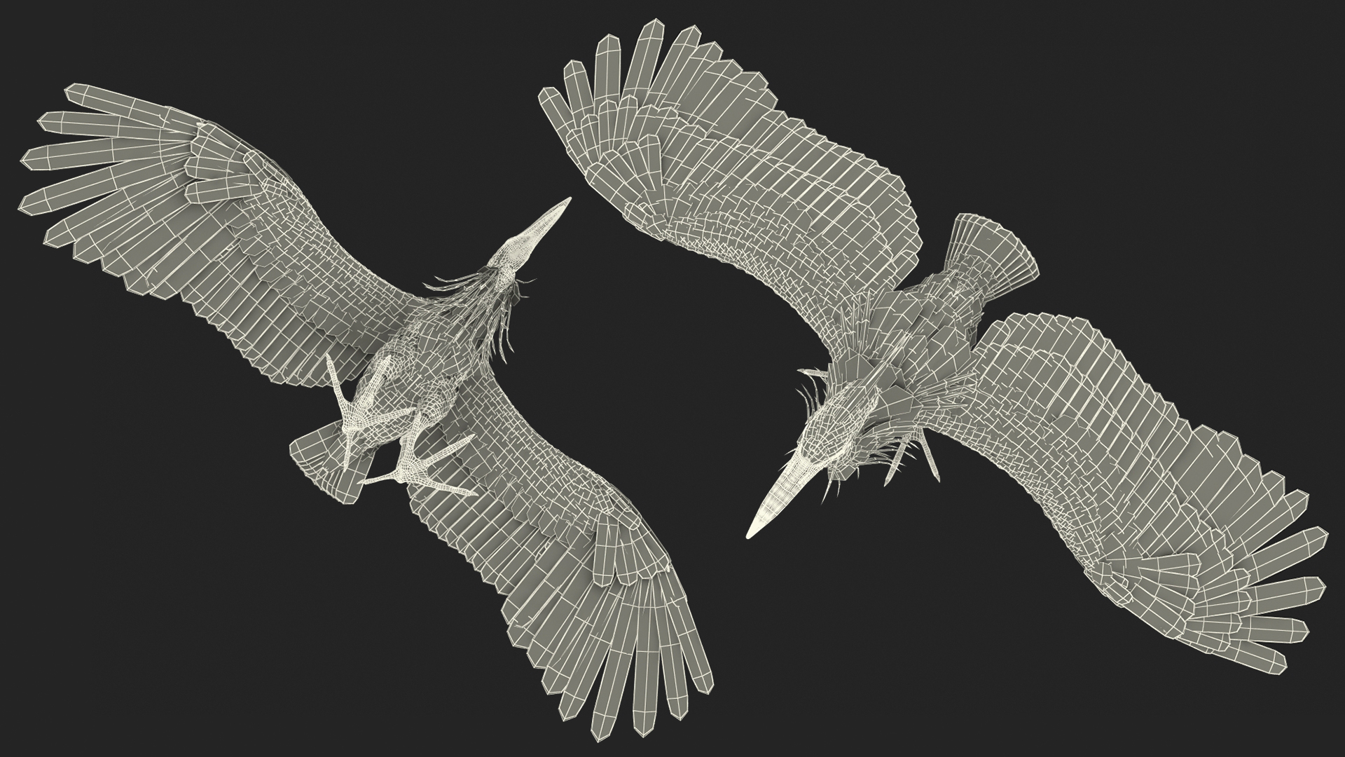 3D Grey Heron Rigged for Maya