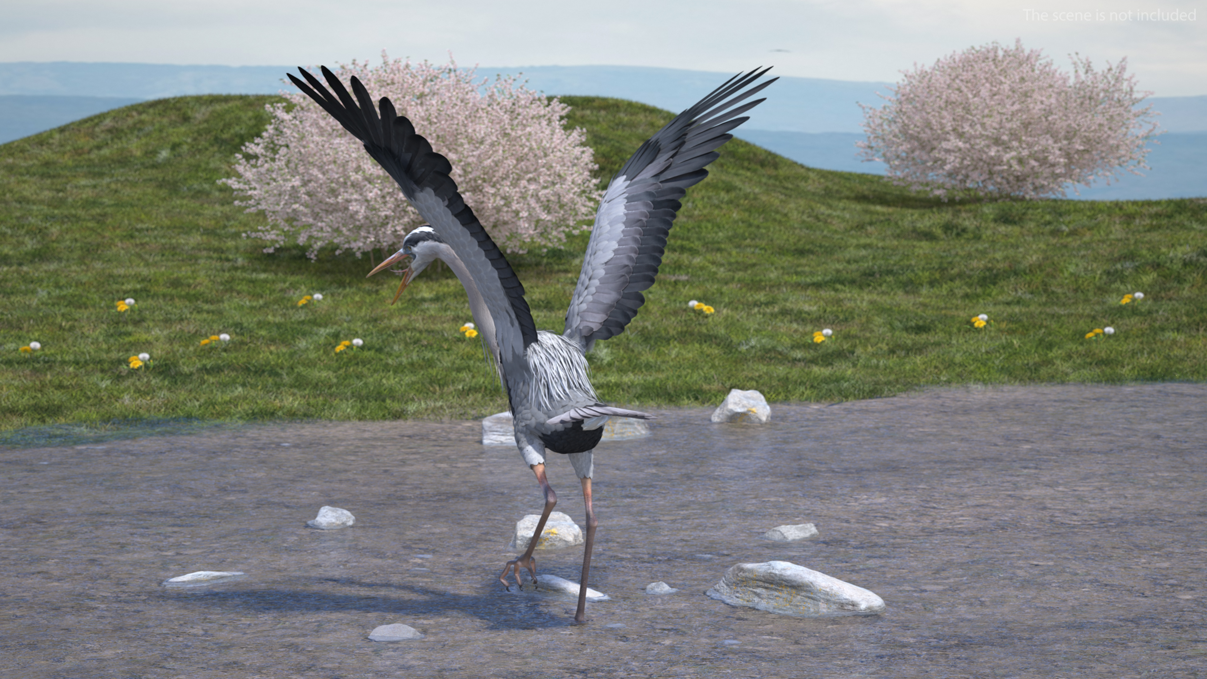 Grey Heron Rigged 3D