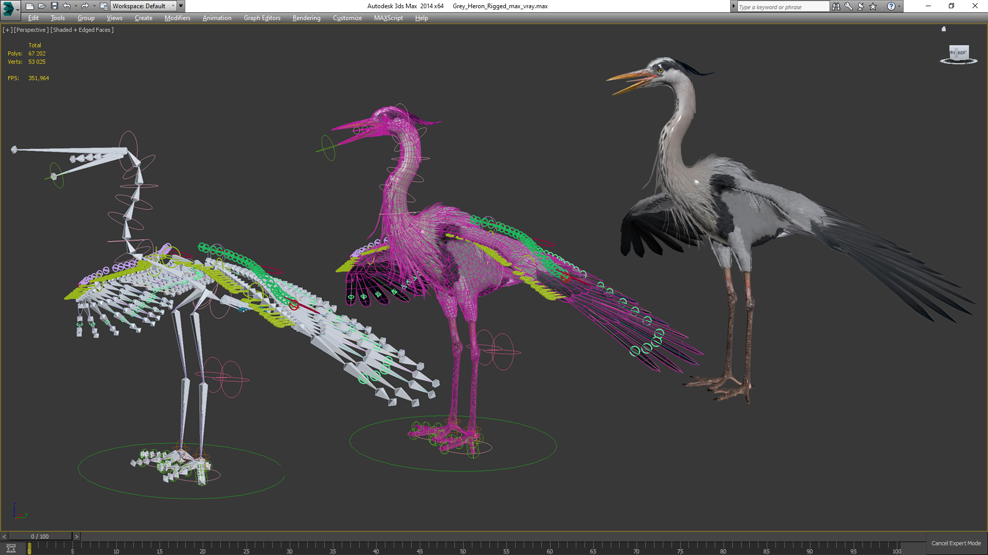 Grey Heron Rigged 3D