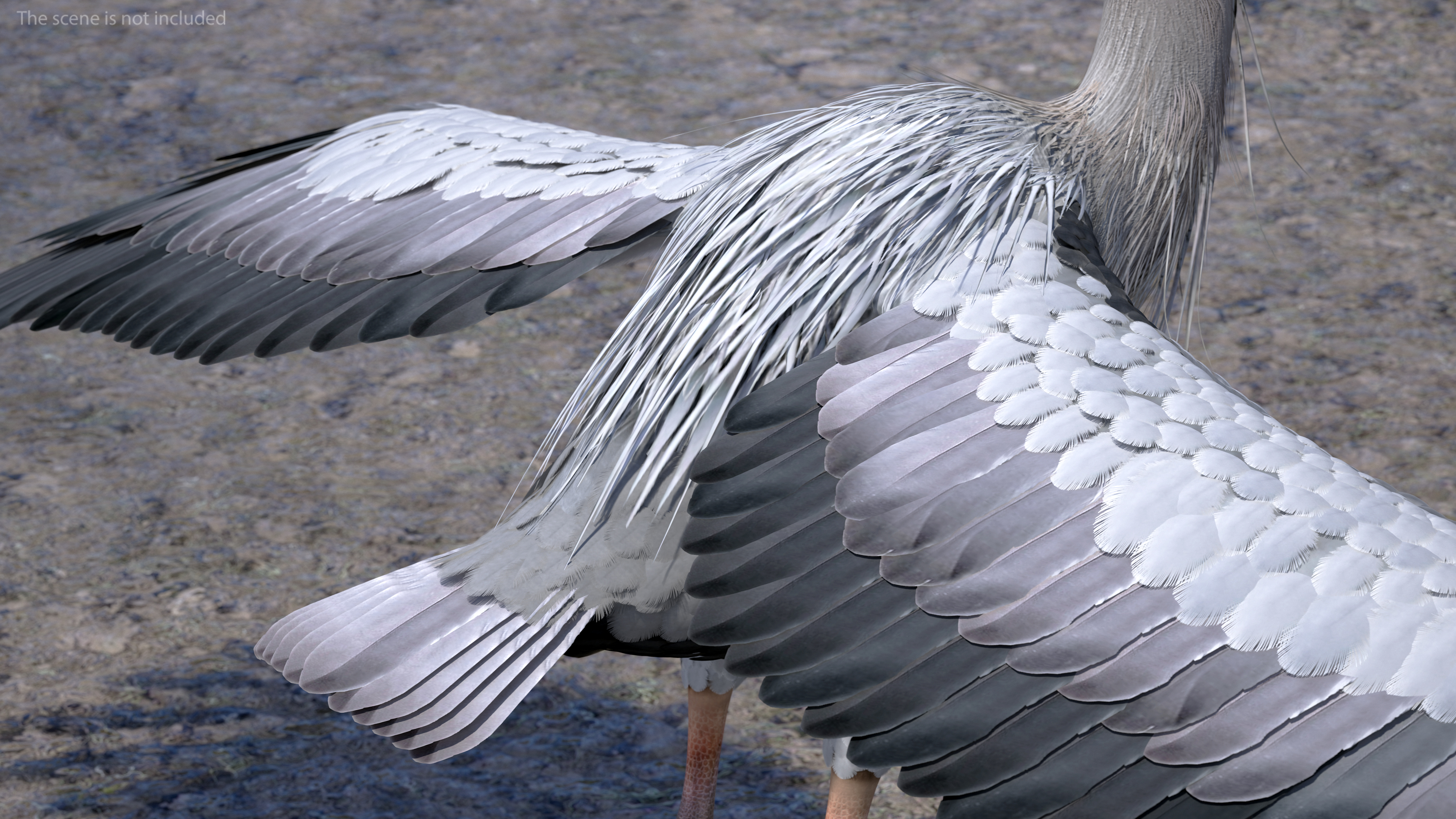 3D Grey Heron Rigged for Maya