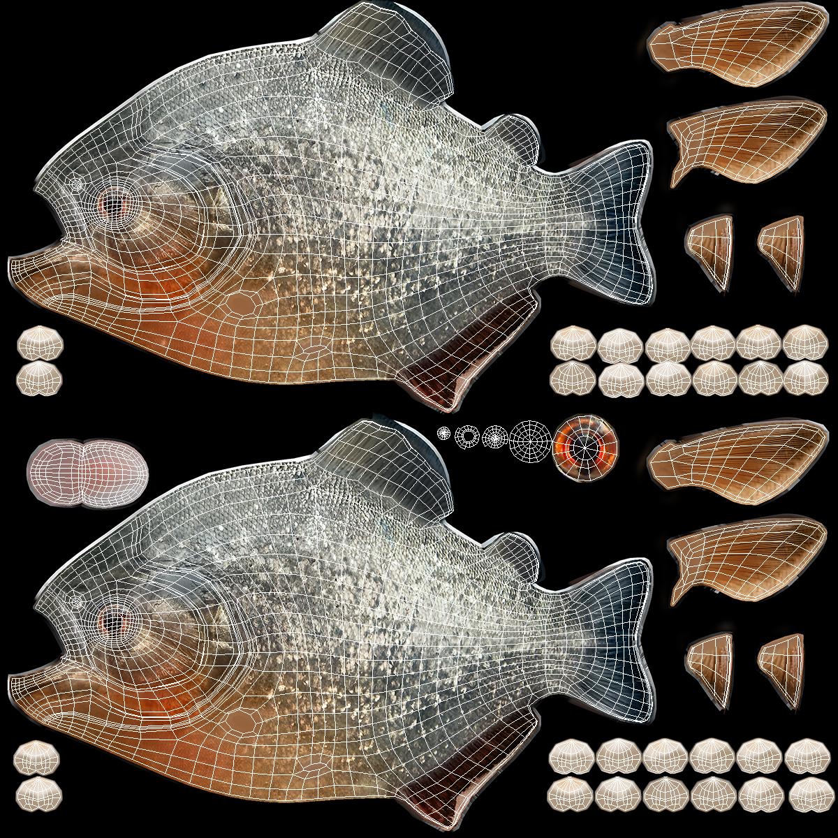 Piranha Rigged 3D model