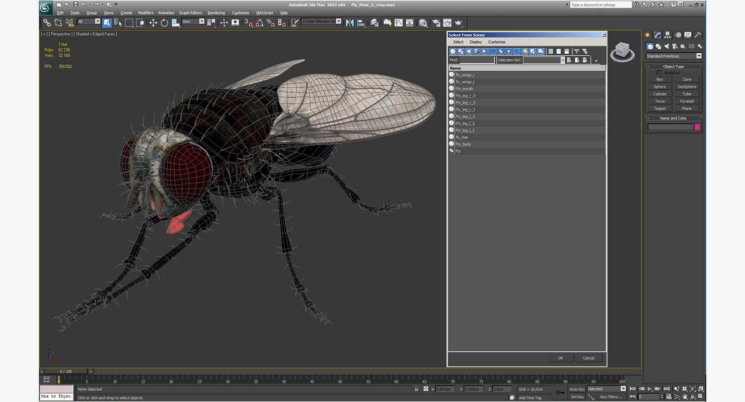 3D model Fly Pose 2