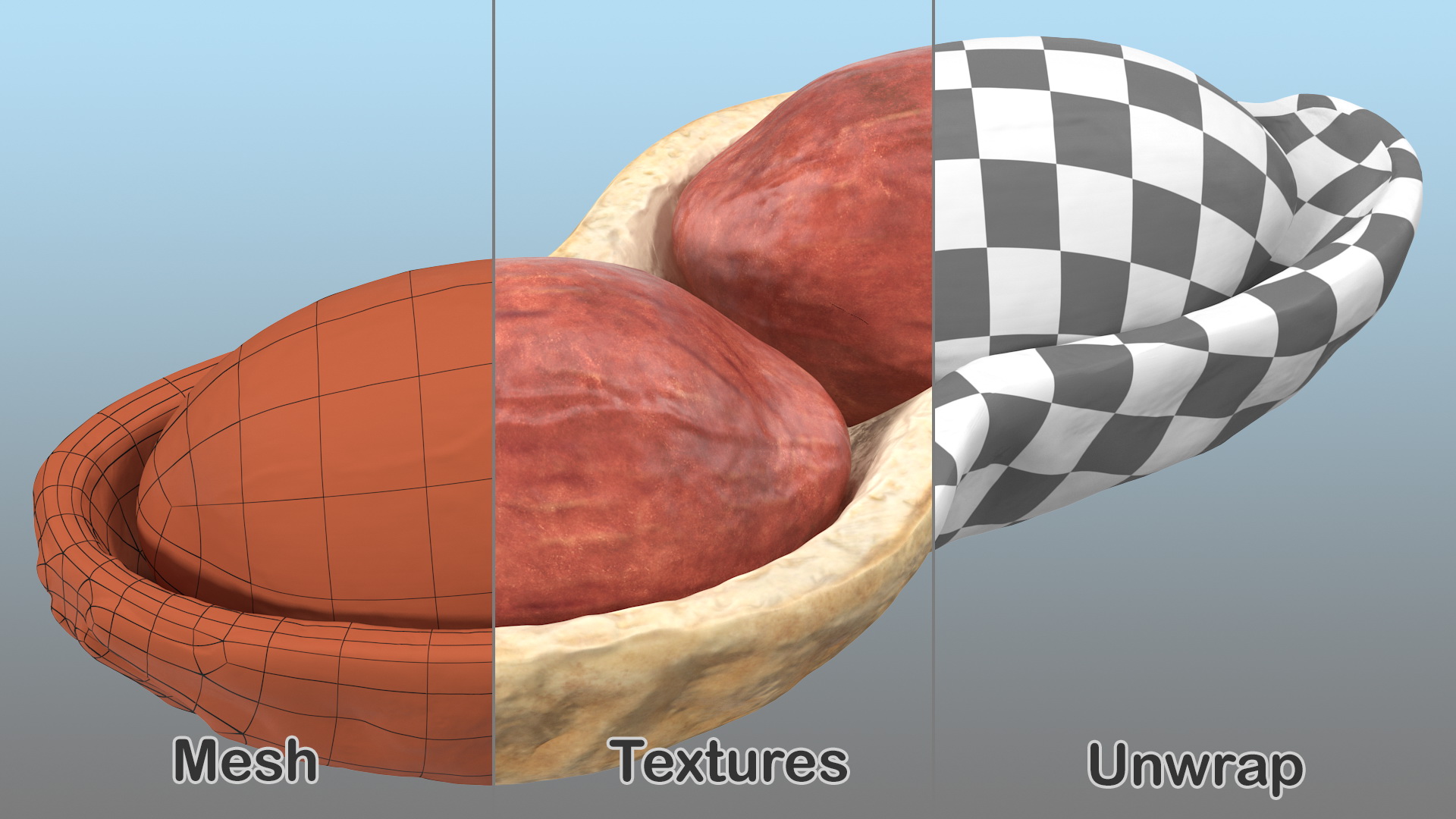 3D model Peeled Peanuts with Shell