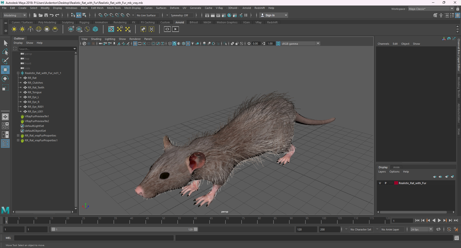 3D model Realistic Rat with Fur for Vray Fur