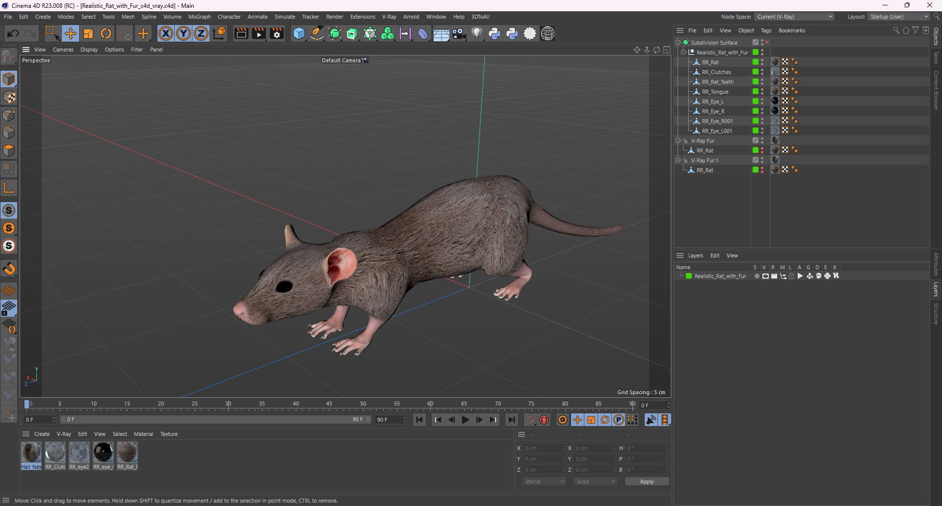 3D model Realistic Rat with Fur for Vray Fur