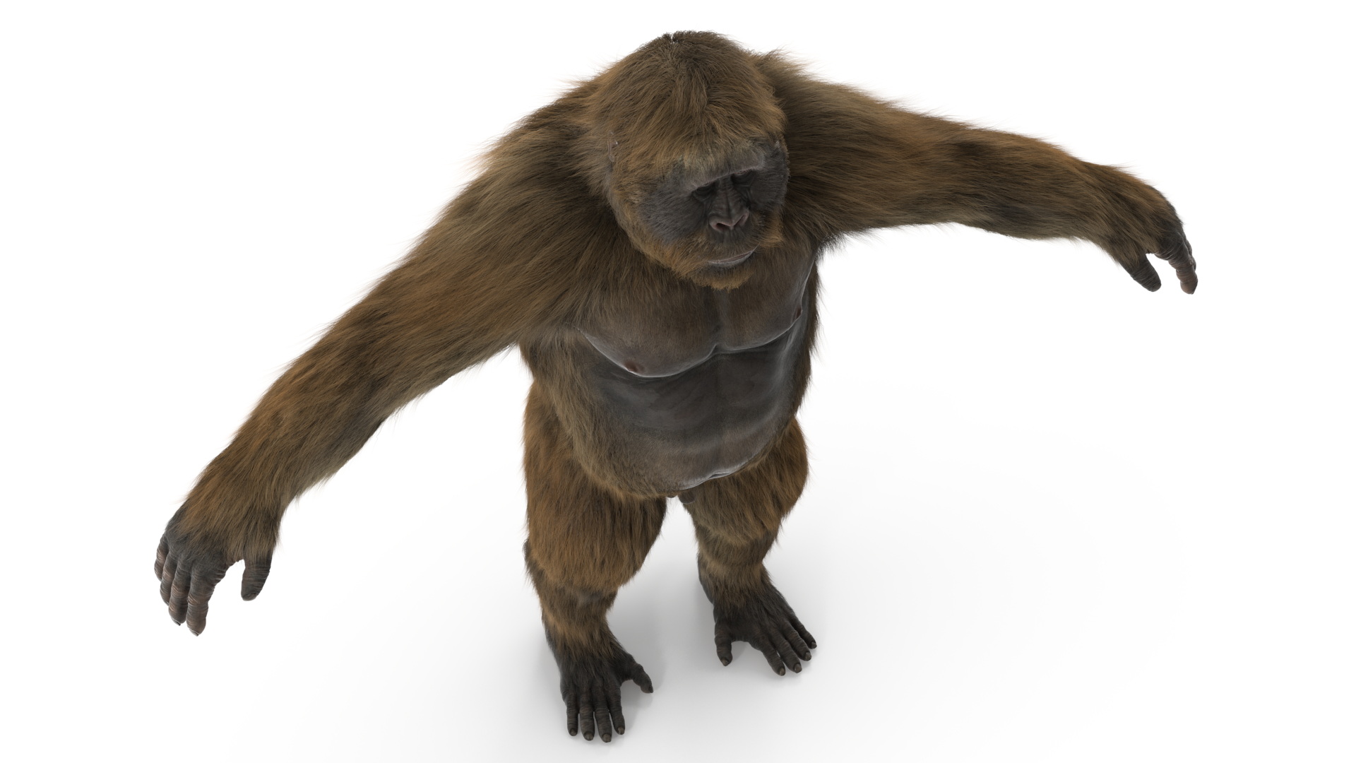 3D Gigantopithecus A-Pose Fur