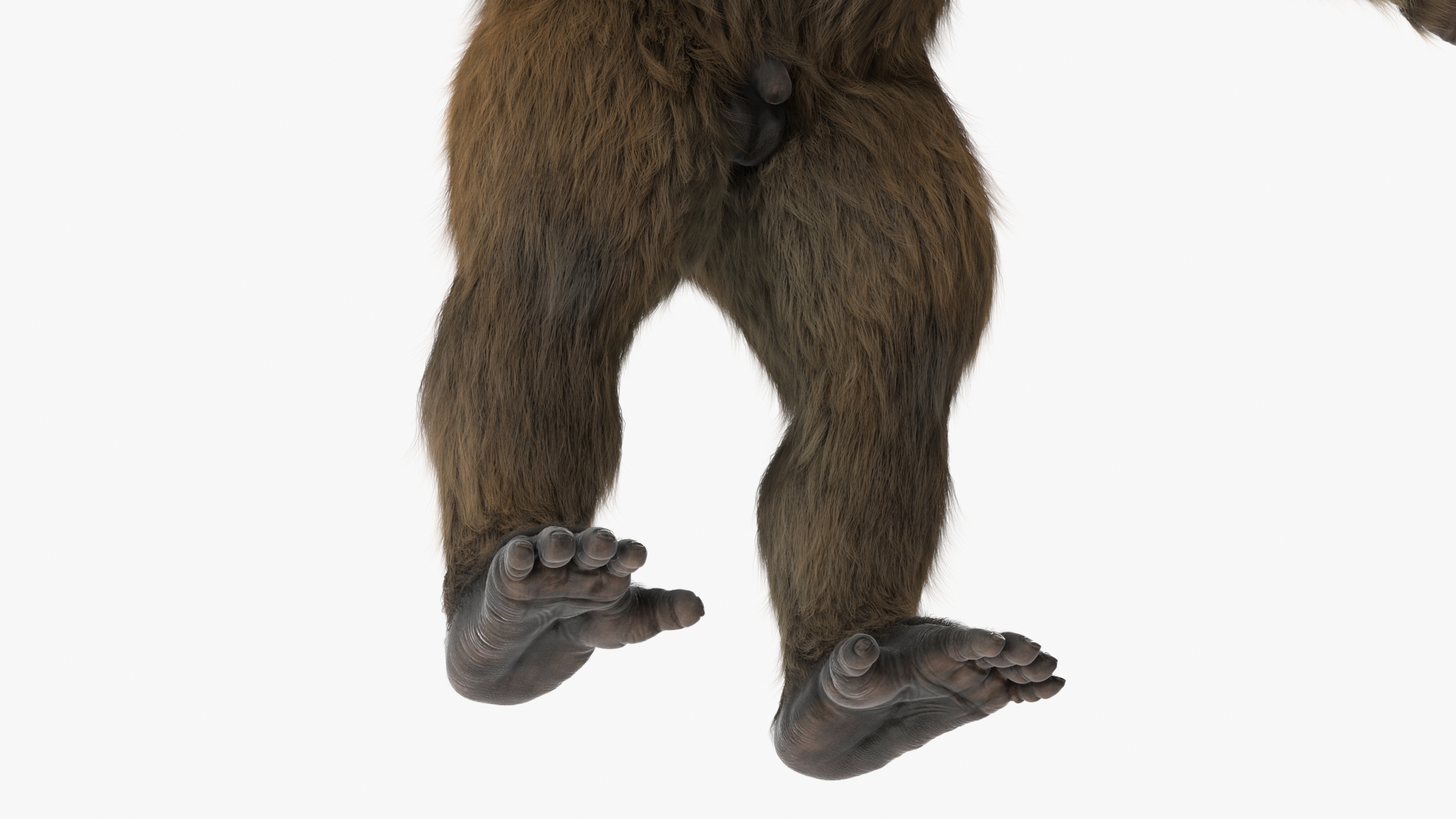 3D Gigantopithecus A-Pose Fur