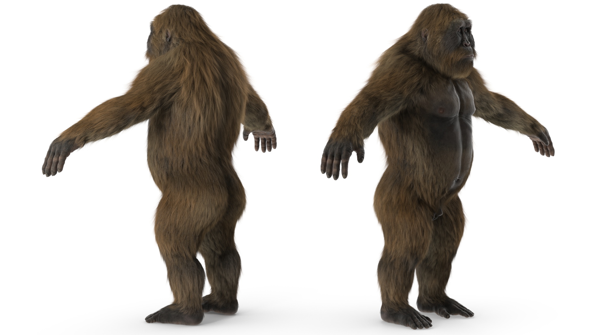 3D Gigantopithecus A-Pose Fur