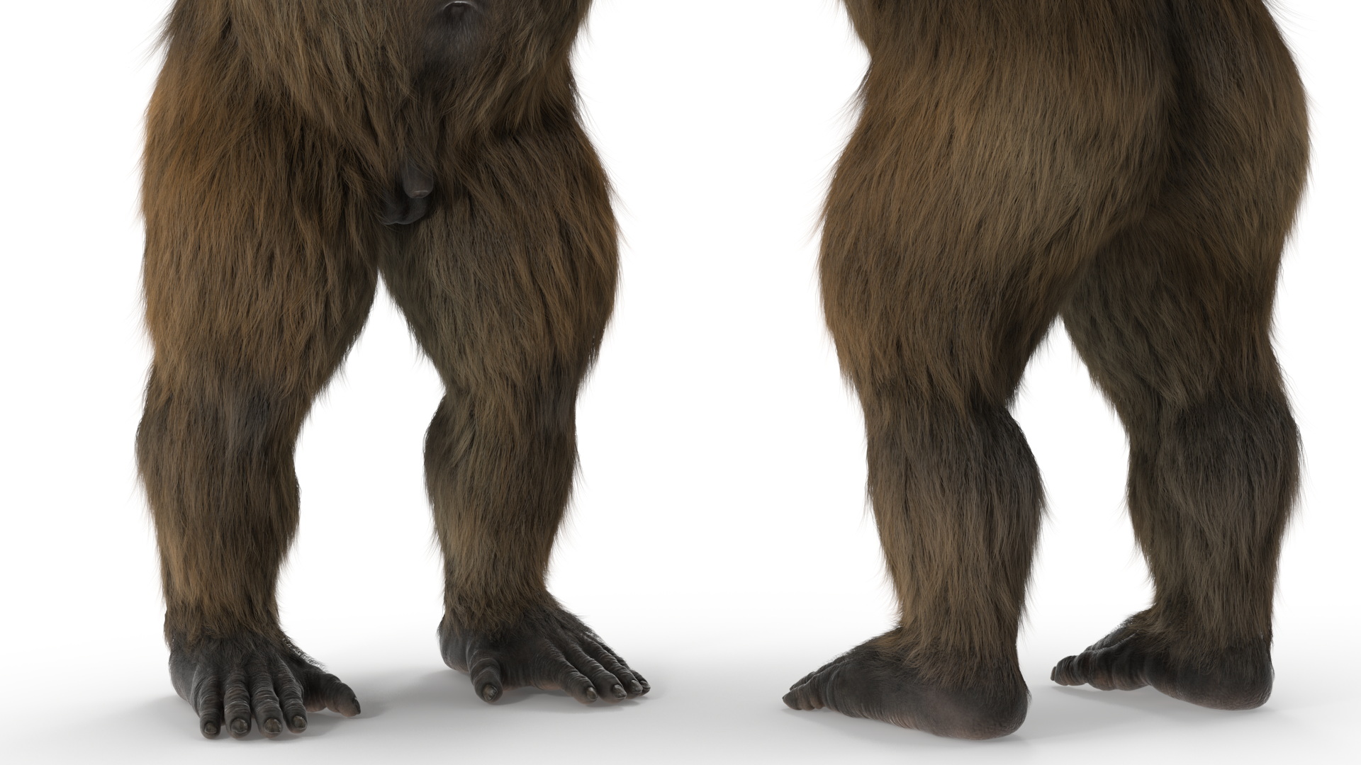 3D Gigantopithecus A-Pose Fur