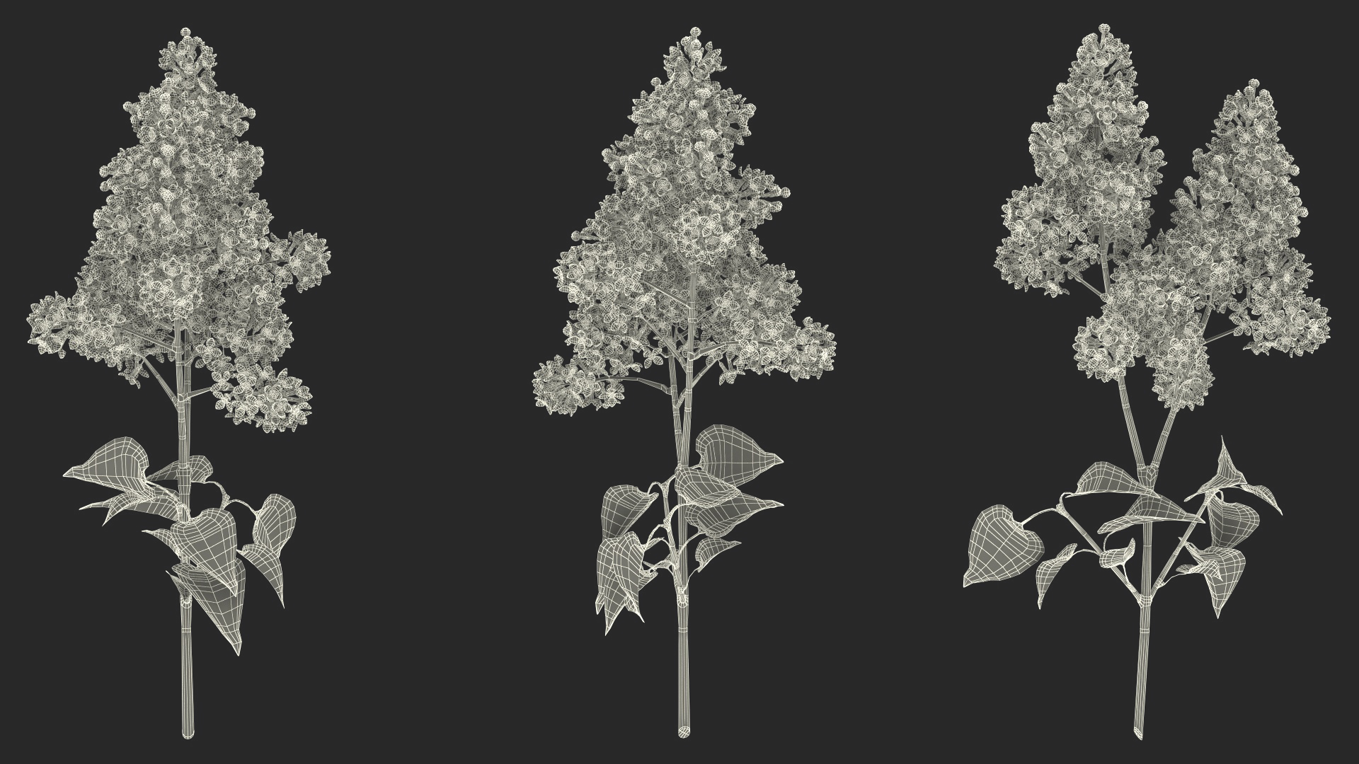 Lilac Branch 3D