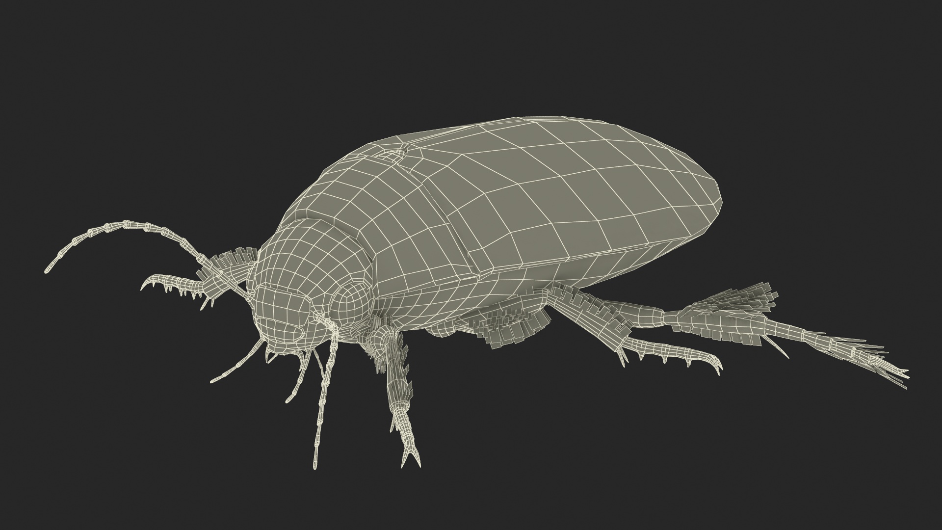 Screech Beetle Black Rigged 3D