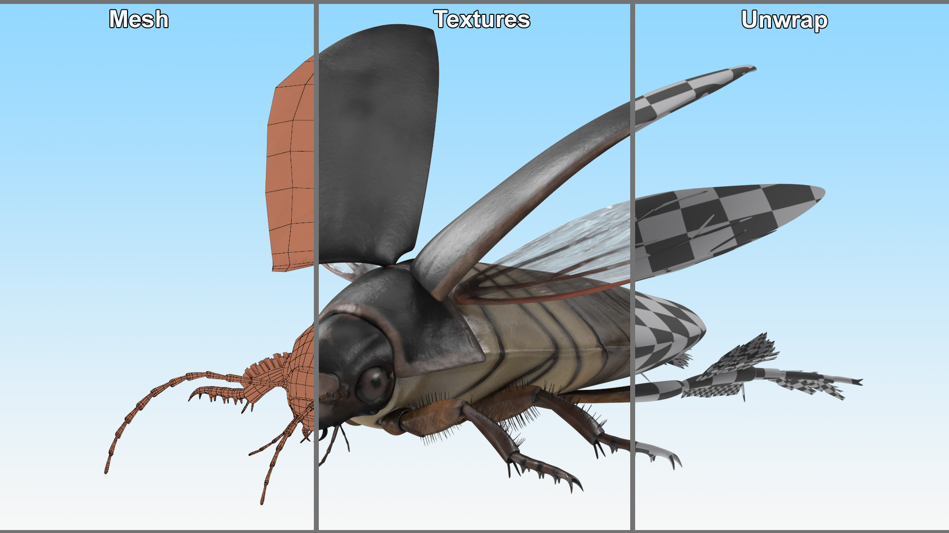 Screech Beetle Black Rigged 3D