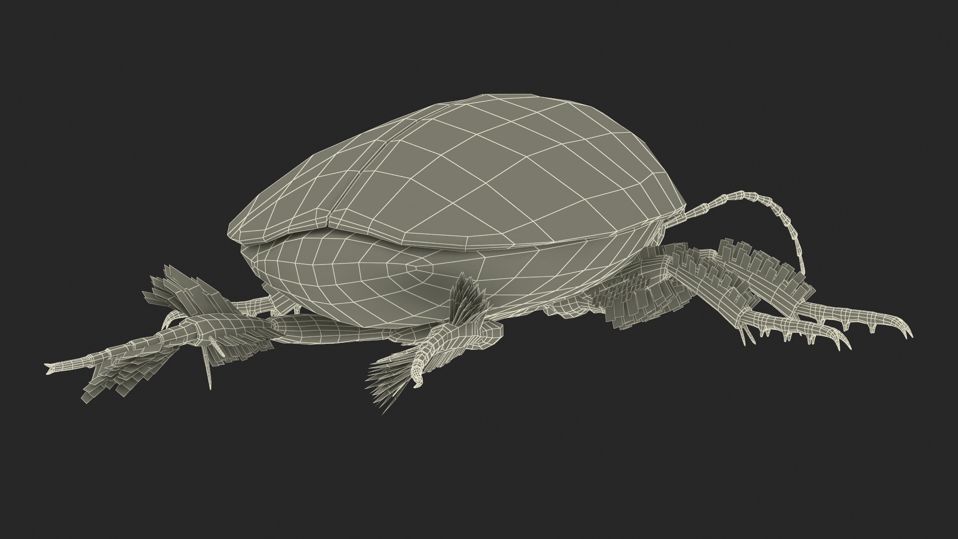 Screech Beetle Black Rigged 3D