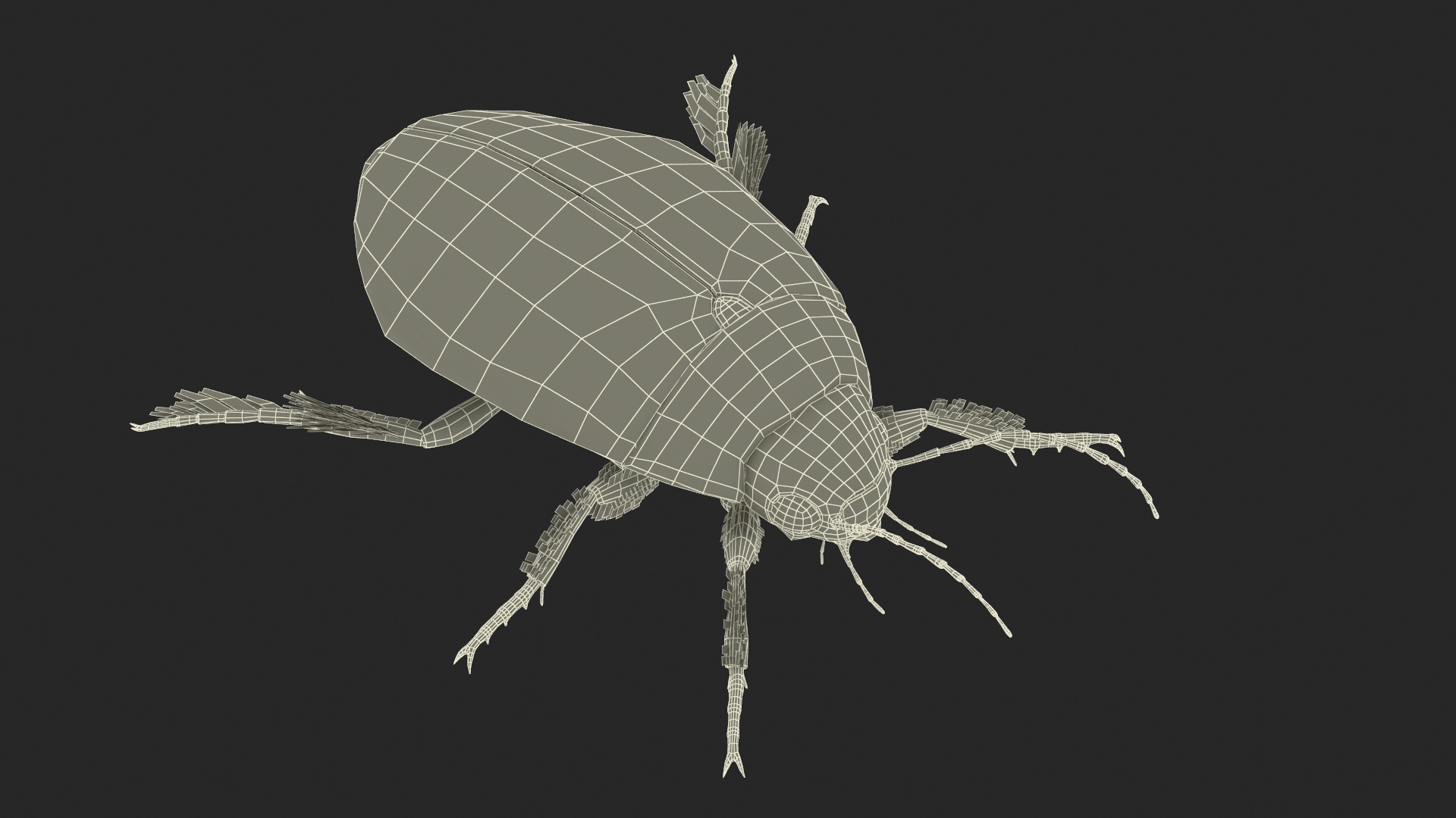 Screech Beetle Black Rigged 3D