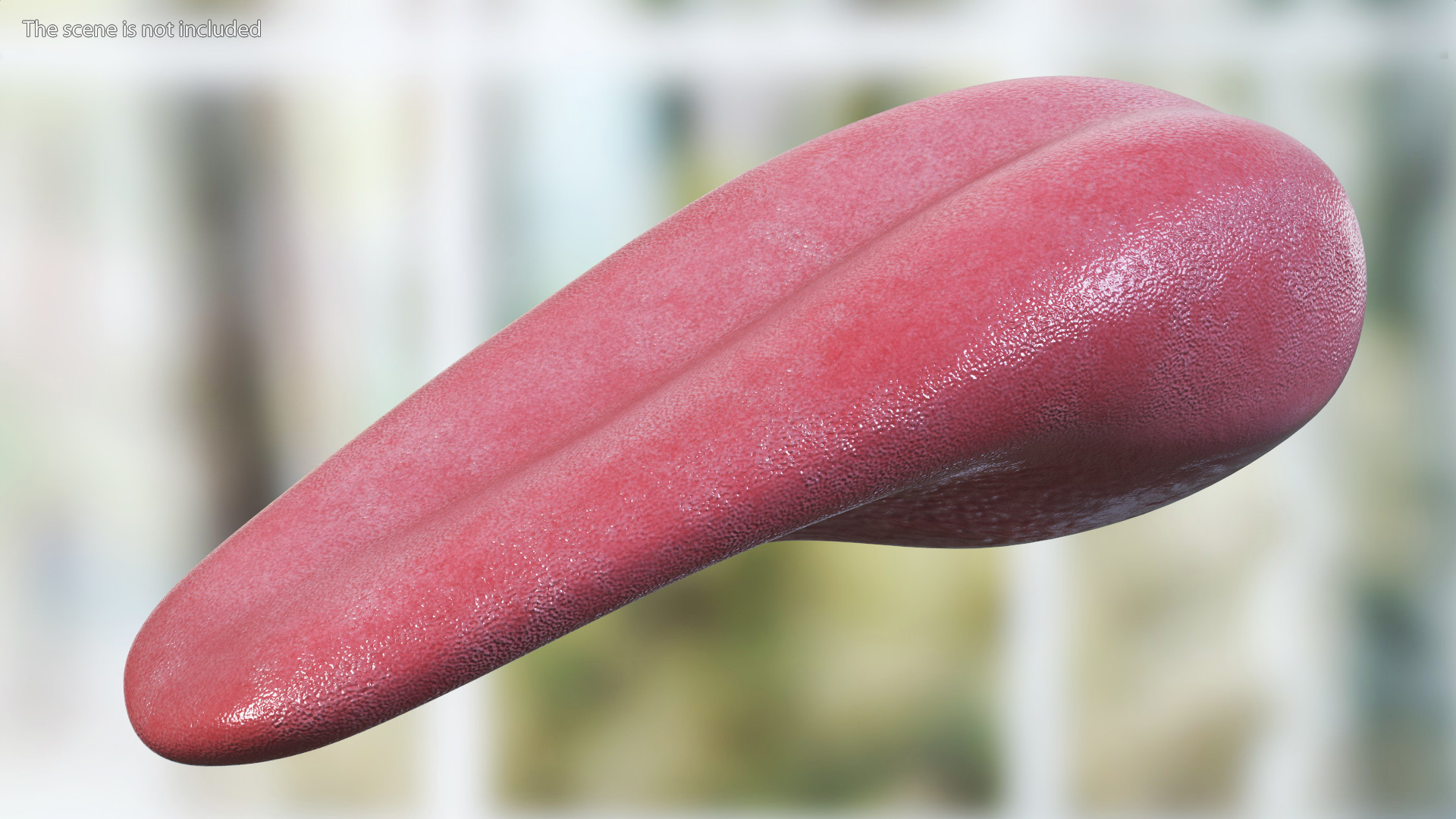 3D Human Tongue Rigged for Cinema 4D model