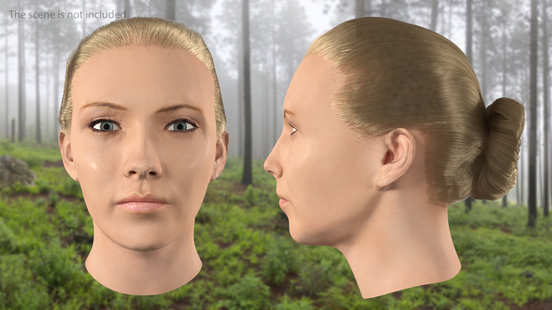 3D model Female Head Fur