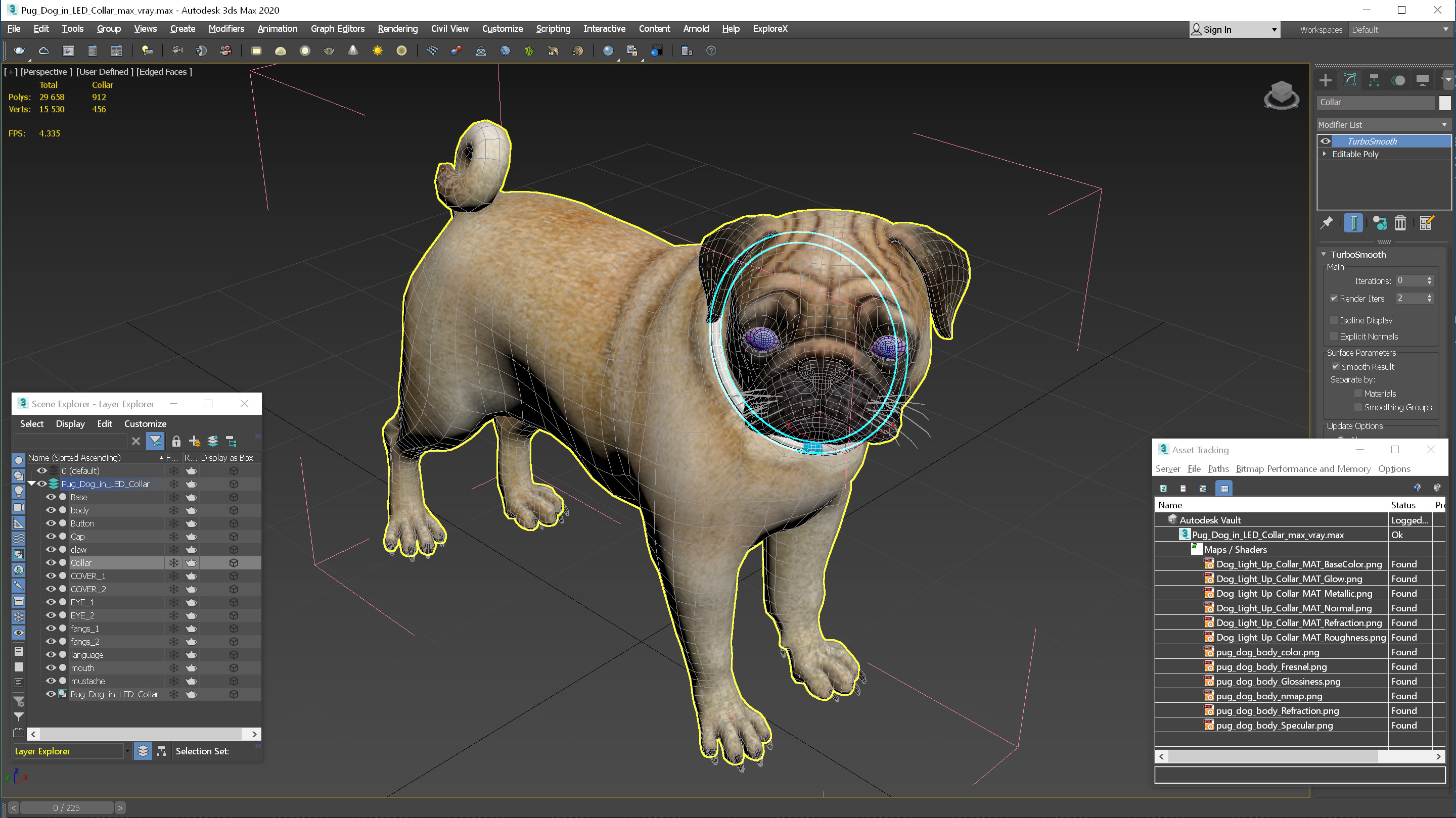 3D Pug Dog in LED Collar