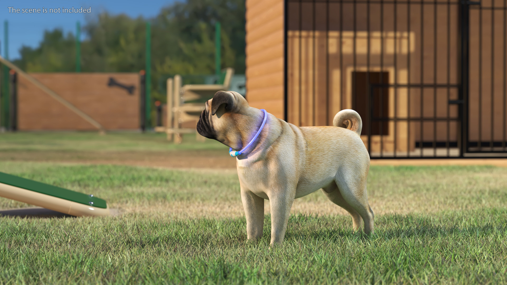 3D Pug Dog in LED Collar