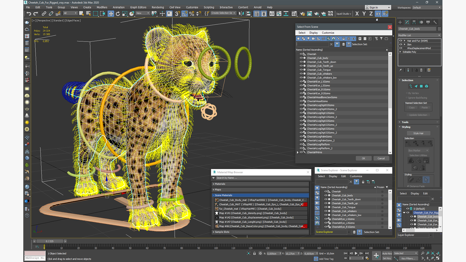 Cheetah Cub Fur Rigged 3D