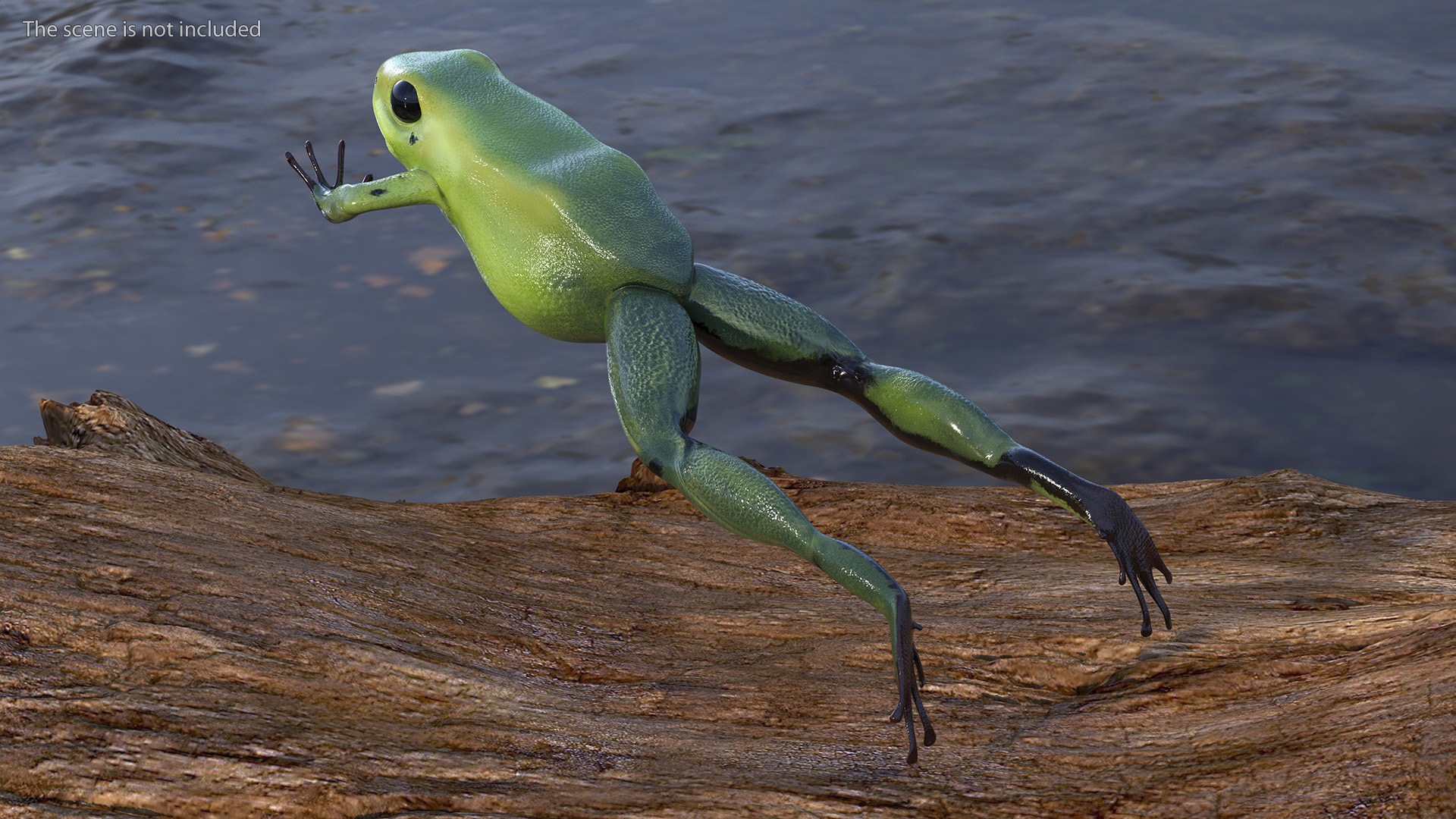 3D Green Phyllobates Terribilis Jumping Pose