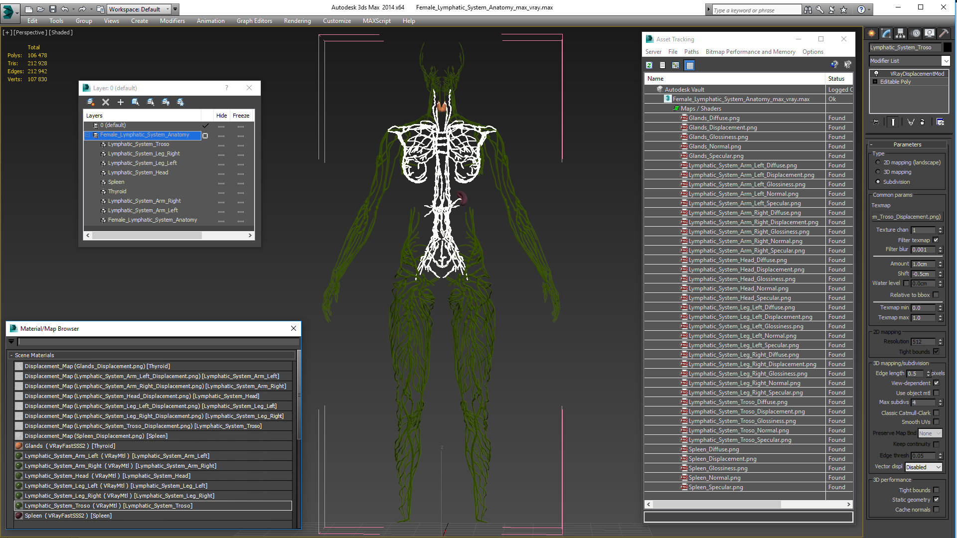 3D Female Lymphatic System Anatomy