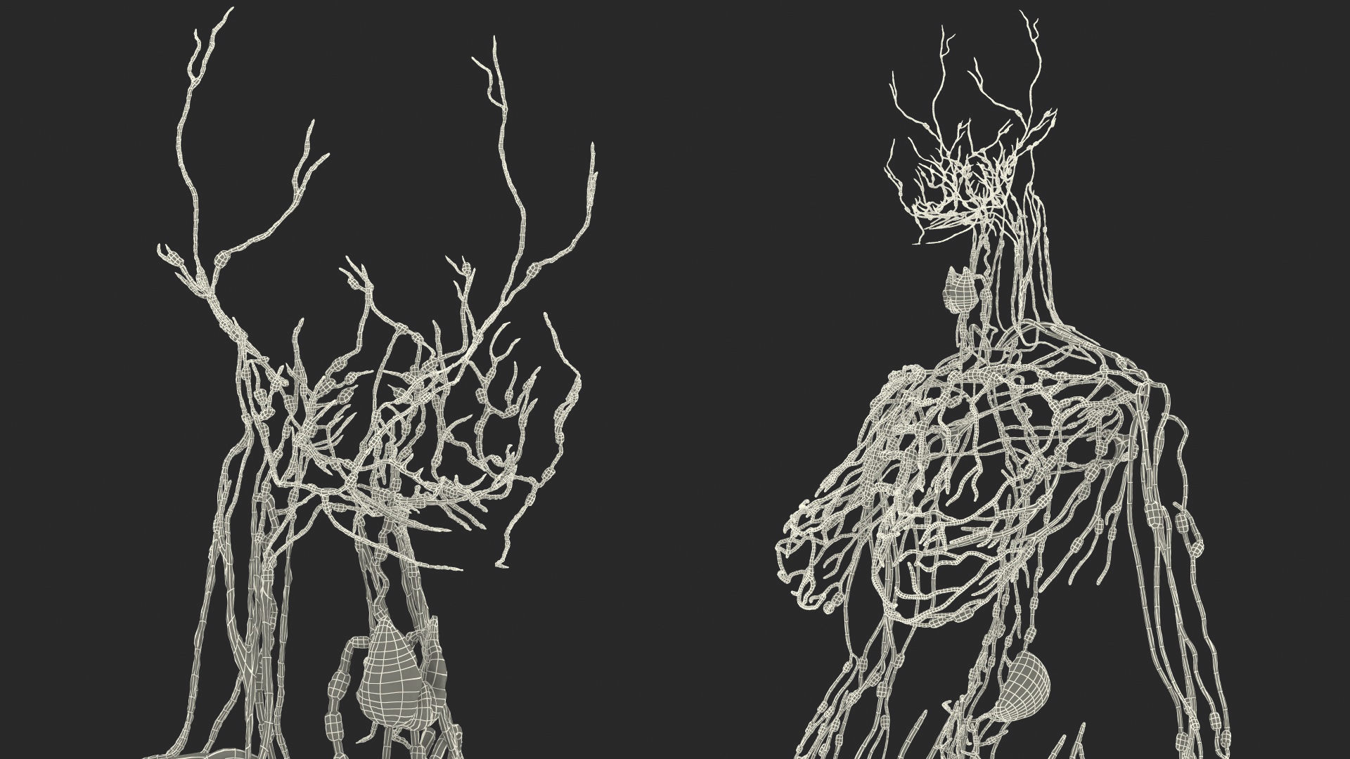 3D Female Lymphatic System Anatomy